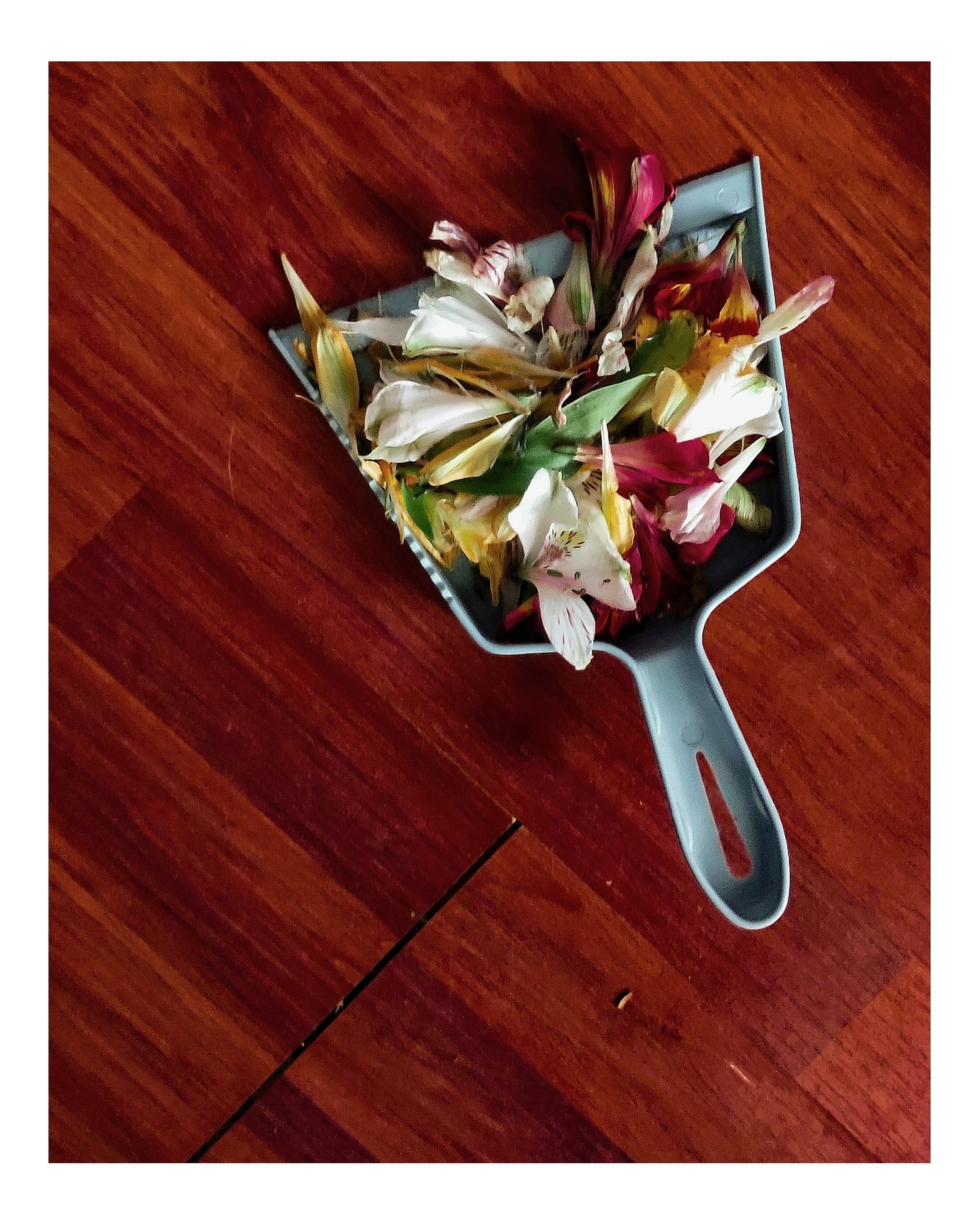 Белклал. Репортажный и портретный фотограф, Влад Хафизов, Москва