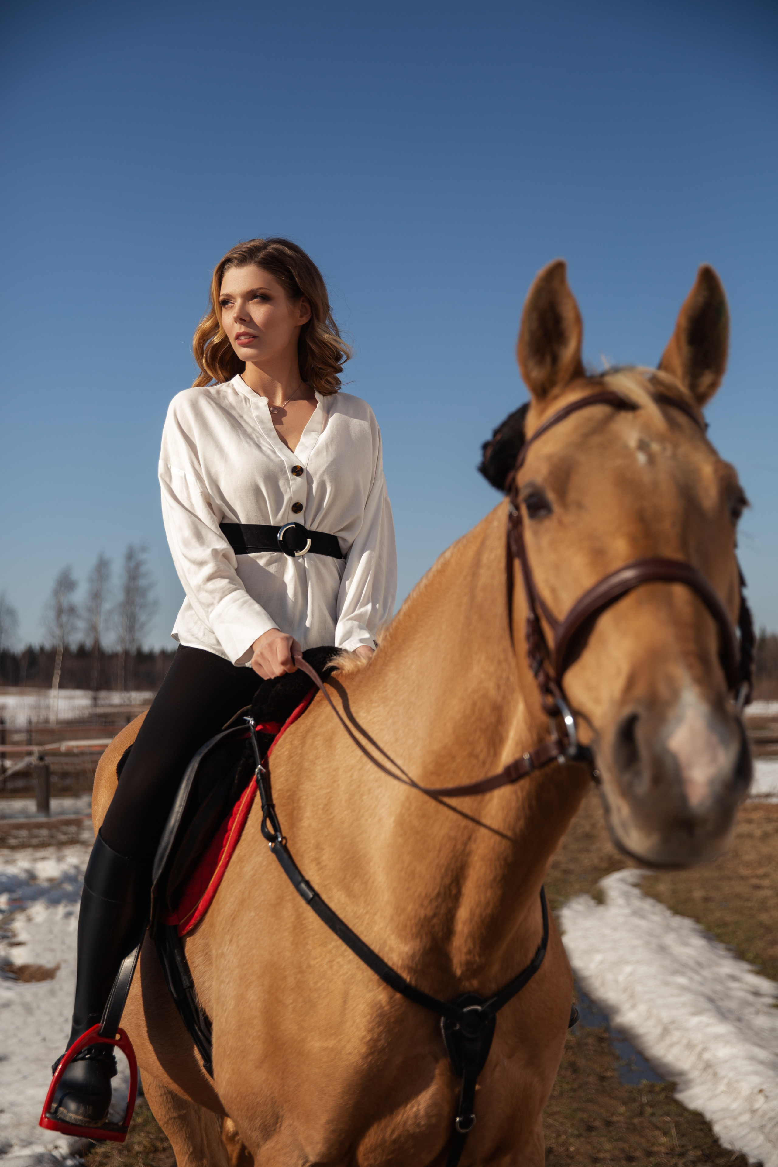 Фотосессия на лошади. Свадебный и портретный фотограф из Санкт-Петербурга Геннадий Чистов