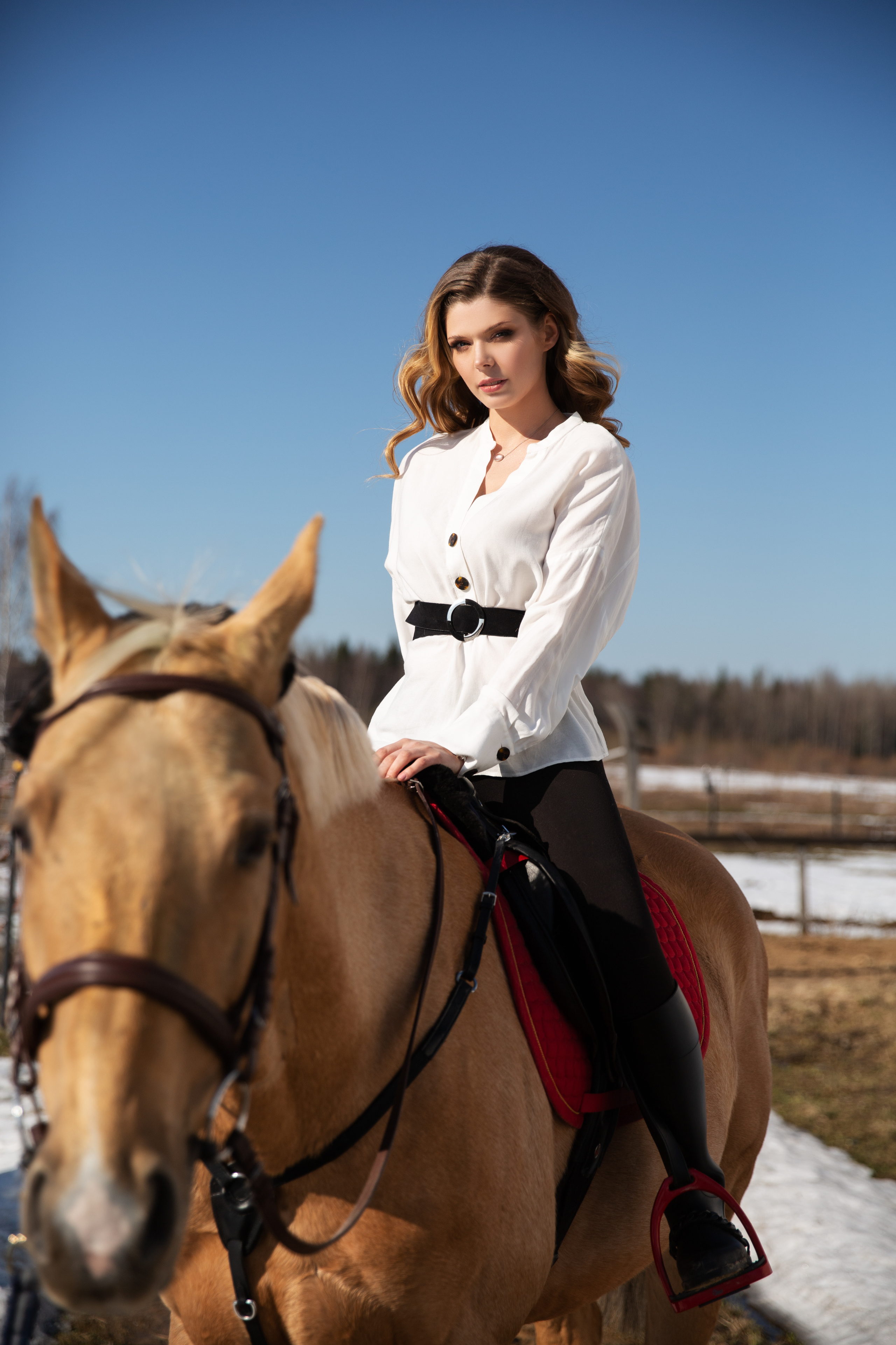 Фотосессия на лошади. Свадебный и портретный фотограф из Санкт-Петербурга Геннадий Чистов