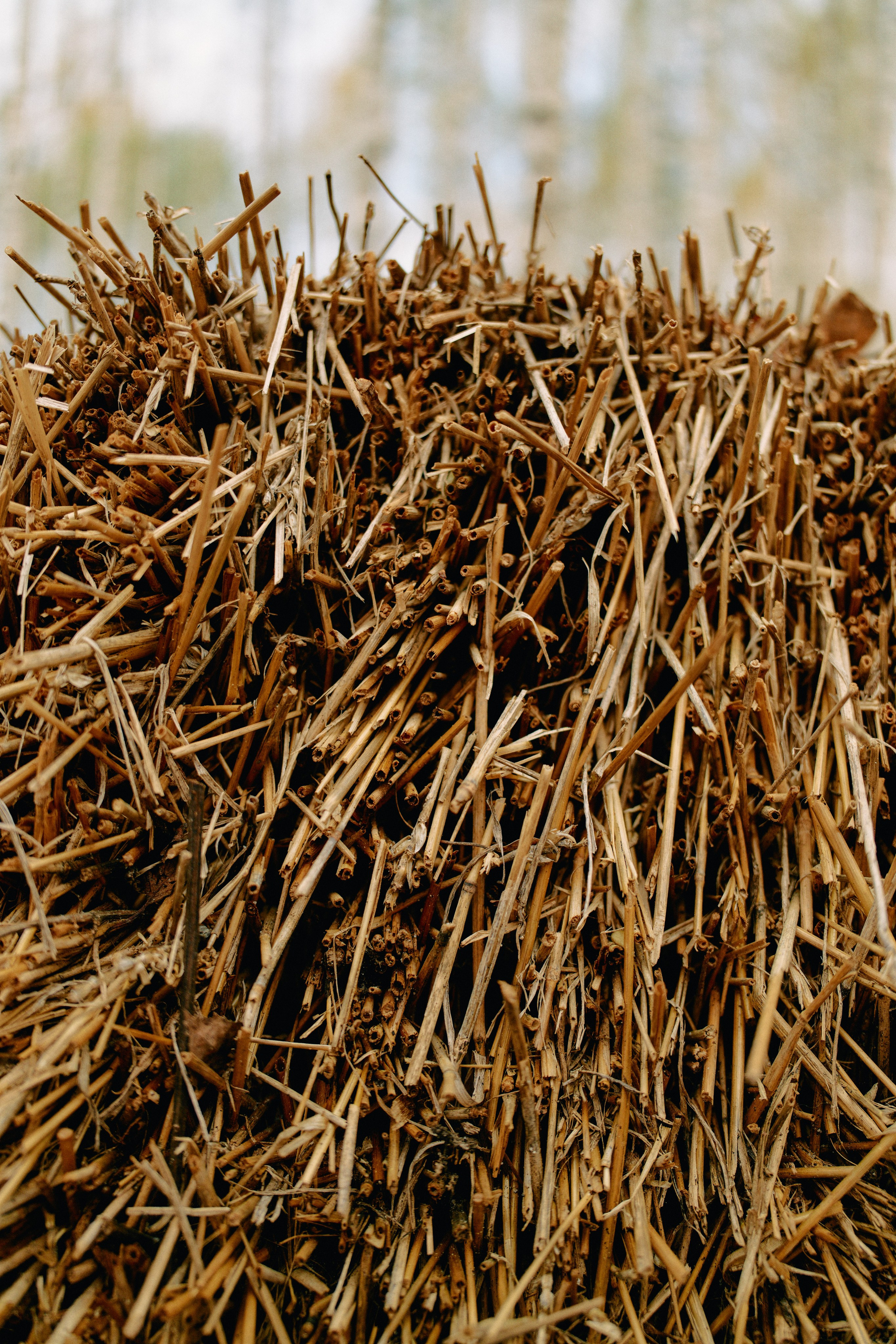 Бутик-отель Поле летом. Профессиональный Фотограф во Владимире, в Москве и в Суздале — Полина Романычева