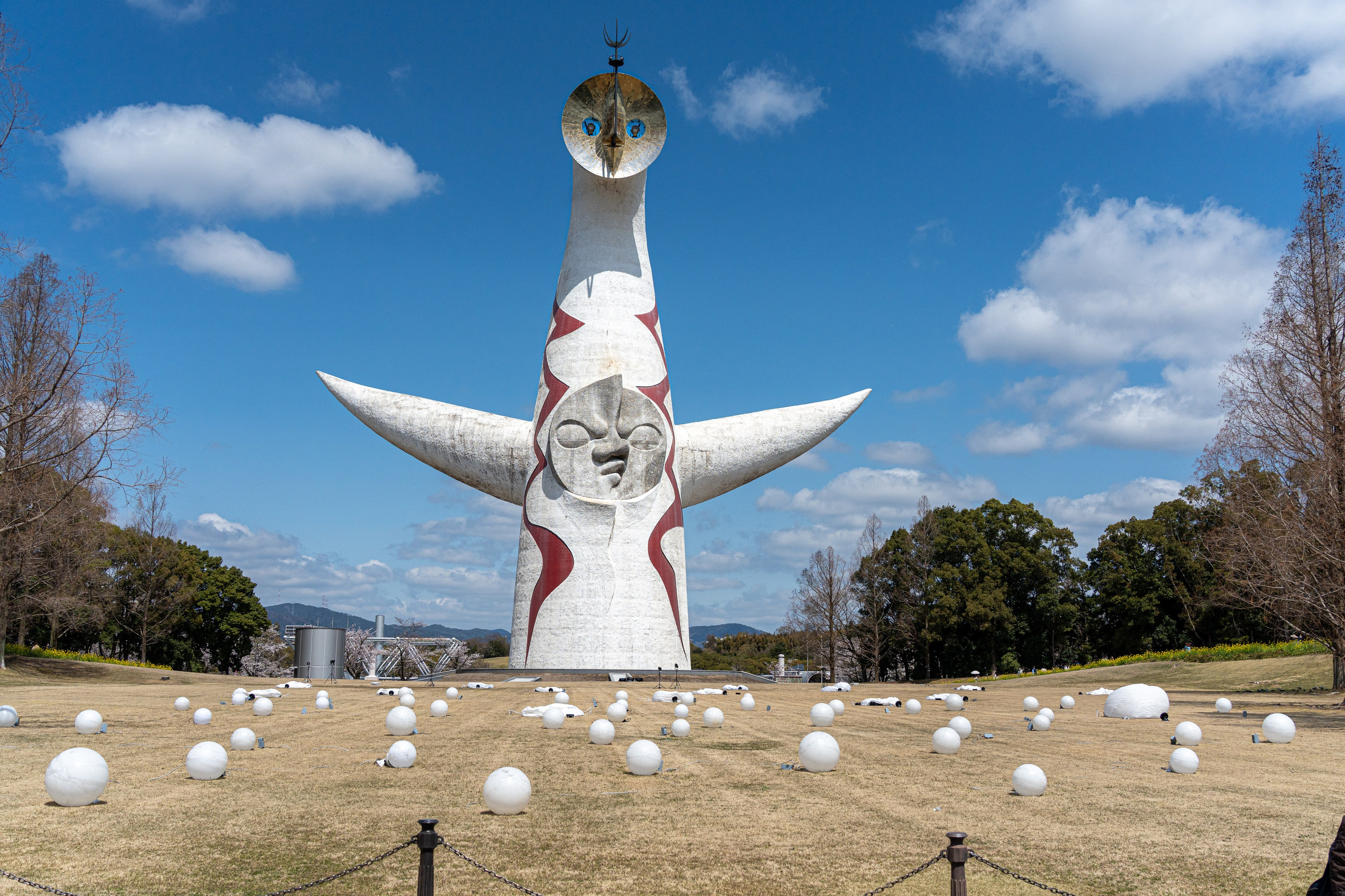 Япония, сакура. Творческие сьемки