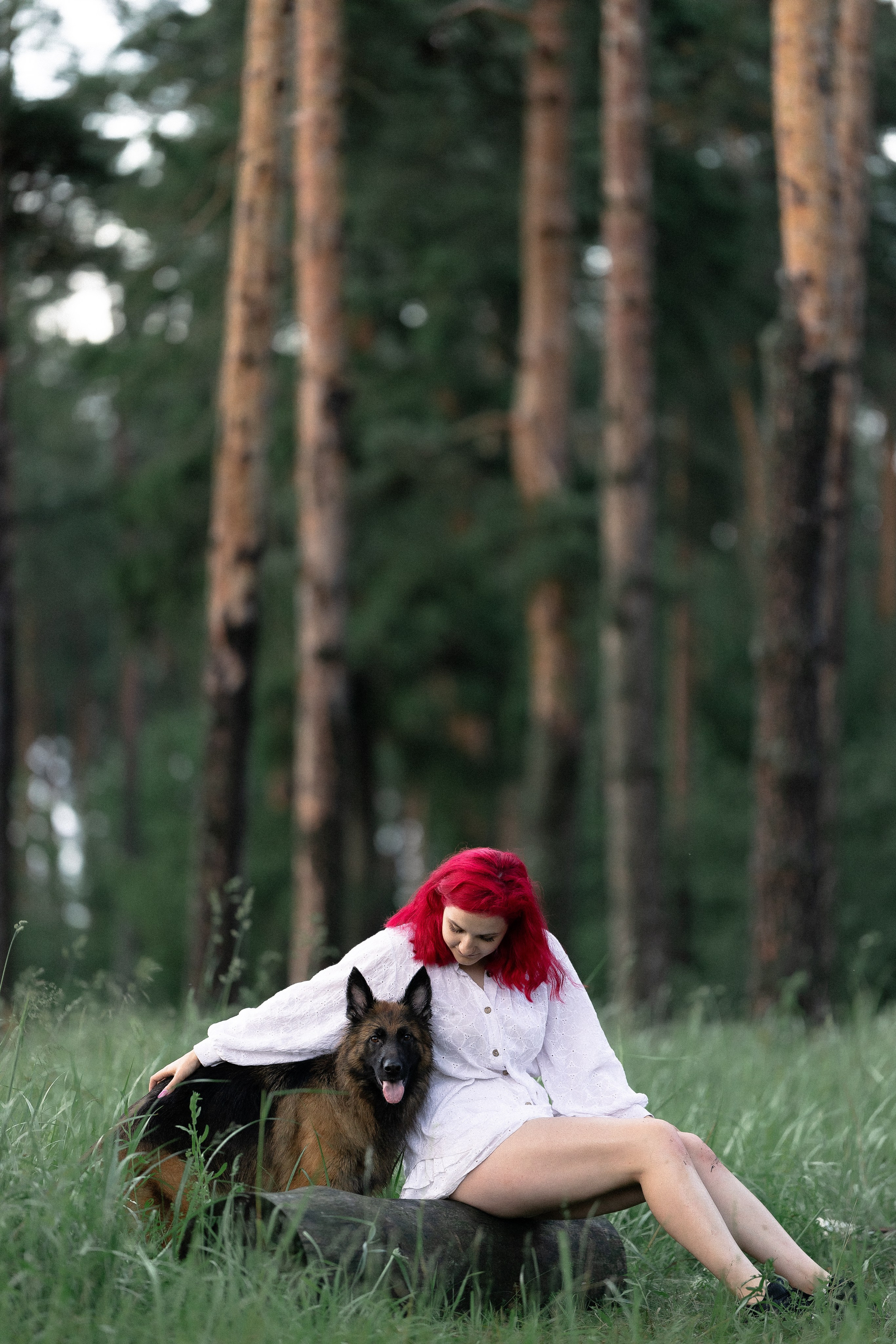 Алена, Фанни и Фрея. Фотограф и видеограф анималист Аганина Дарья