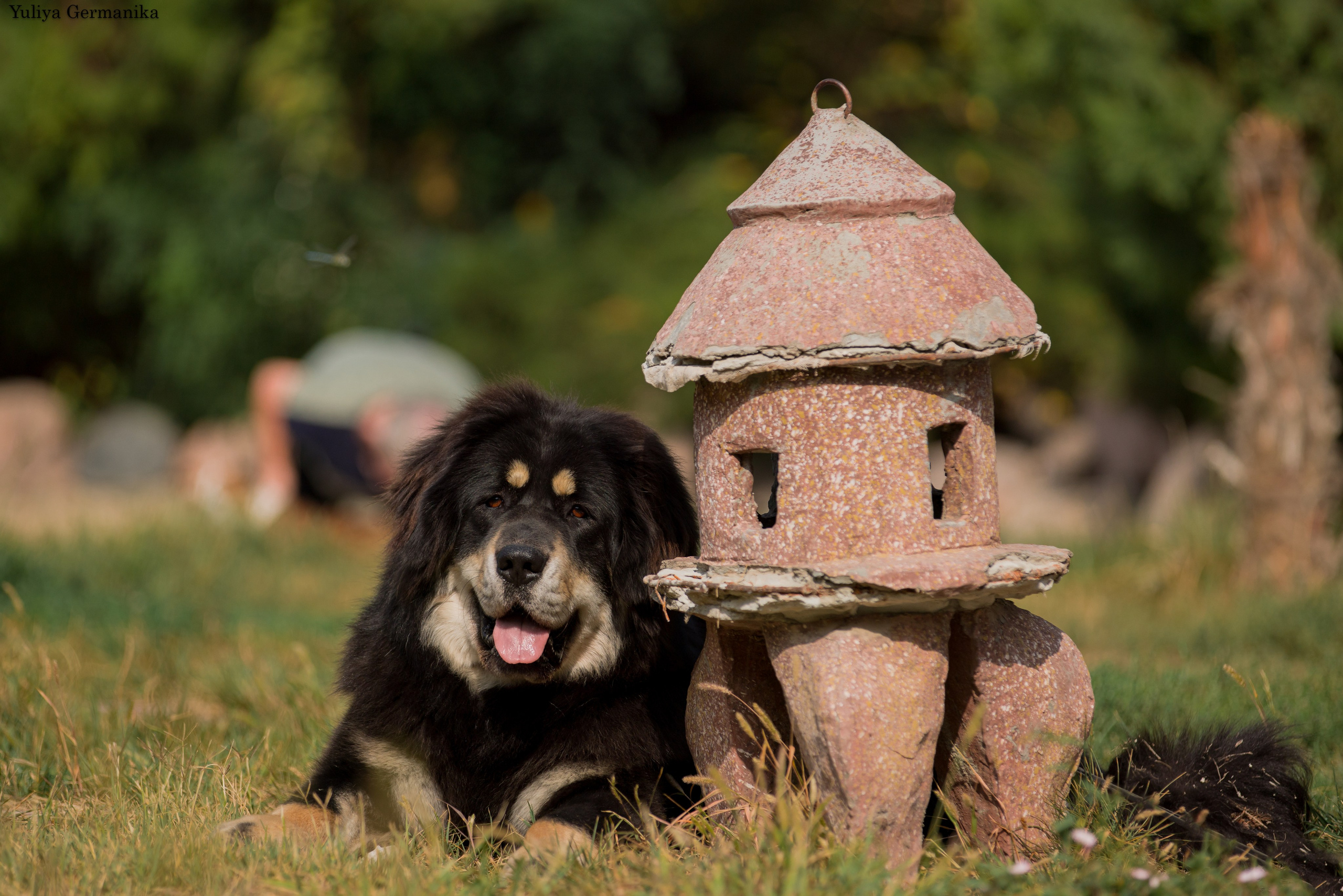 Ташкент 6-8.10.2023 + Алматы 14-15.10.2023. Фотограф-анималист Юлия Германика