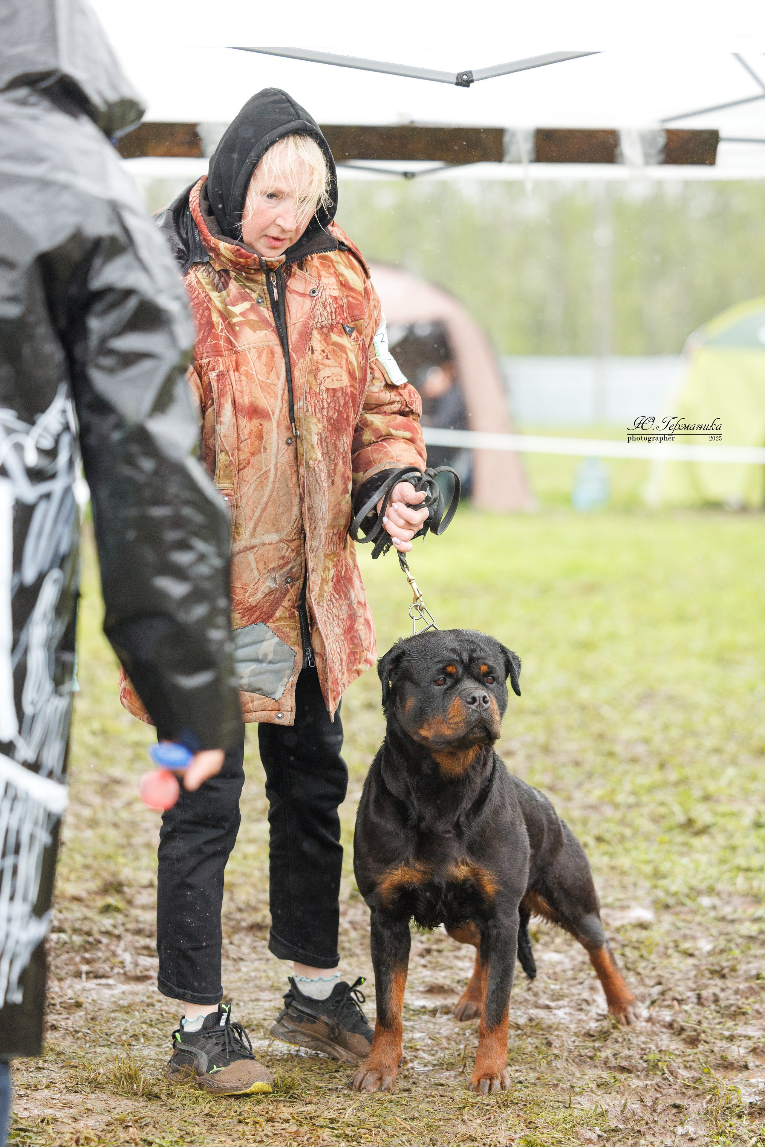 Нижний Новгород 2хмоно ротвейлеров 10-11.05.2025. Фотограф-анималист Юлия Германика