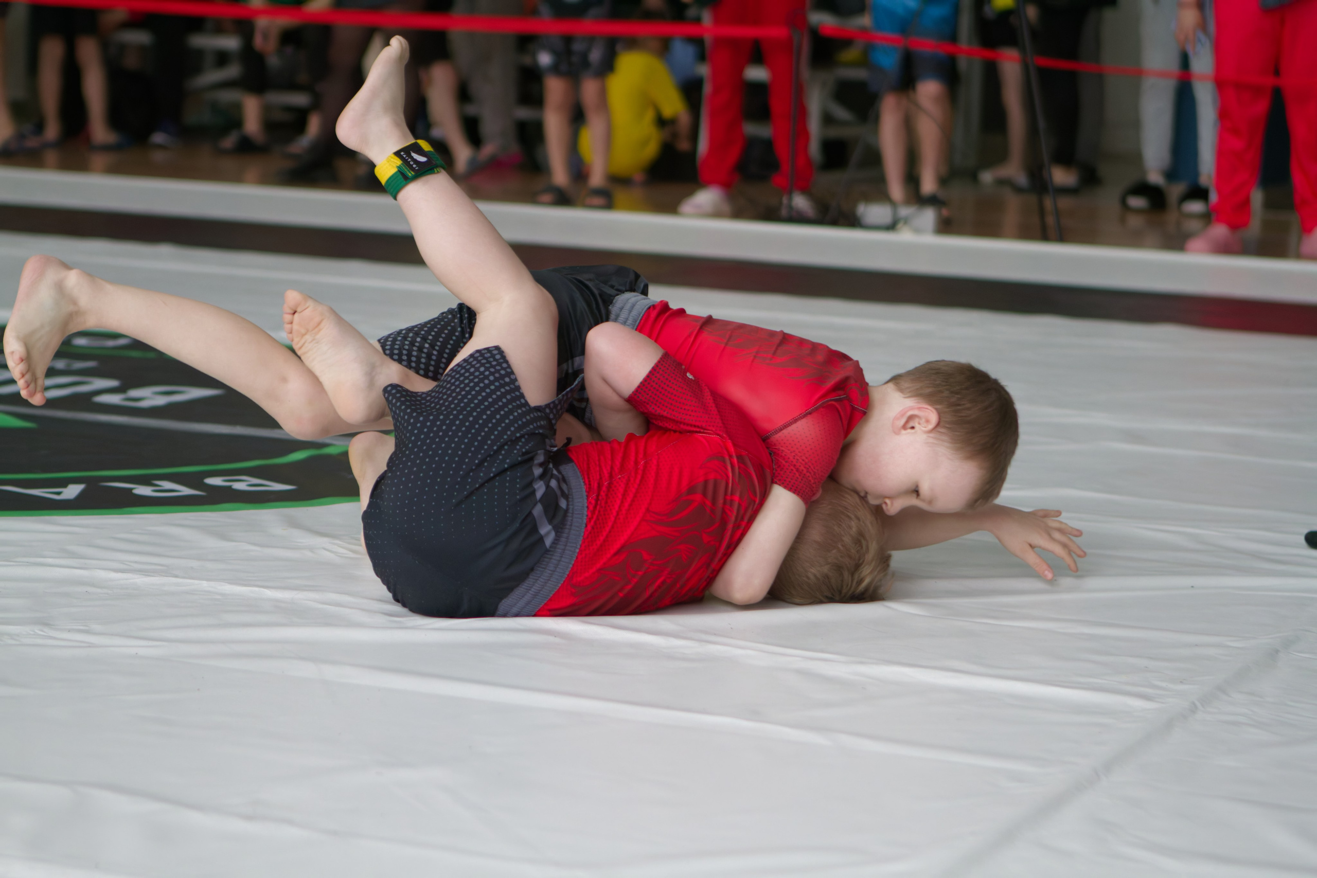Борьба. Джиу-джитсу 26.04.2025. Репортажный и спортивный фотограф в г. Пермь Зильберг Павел