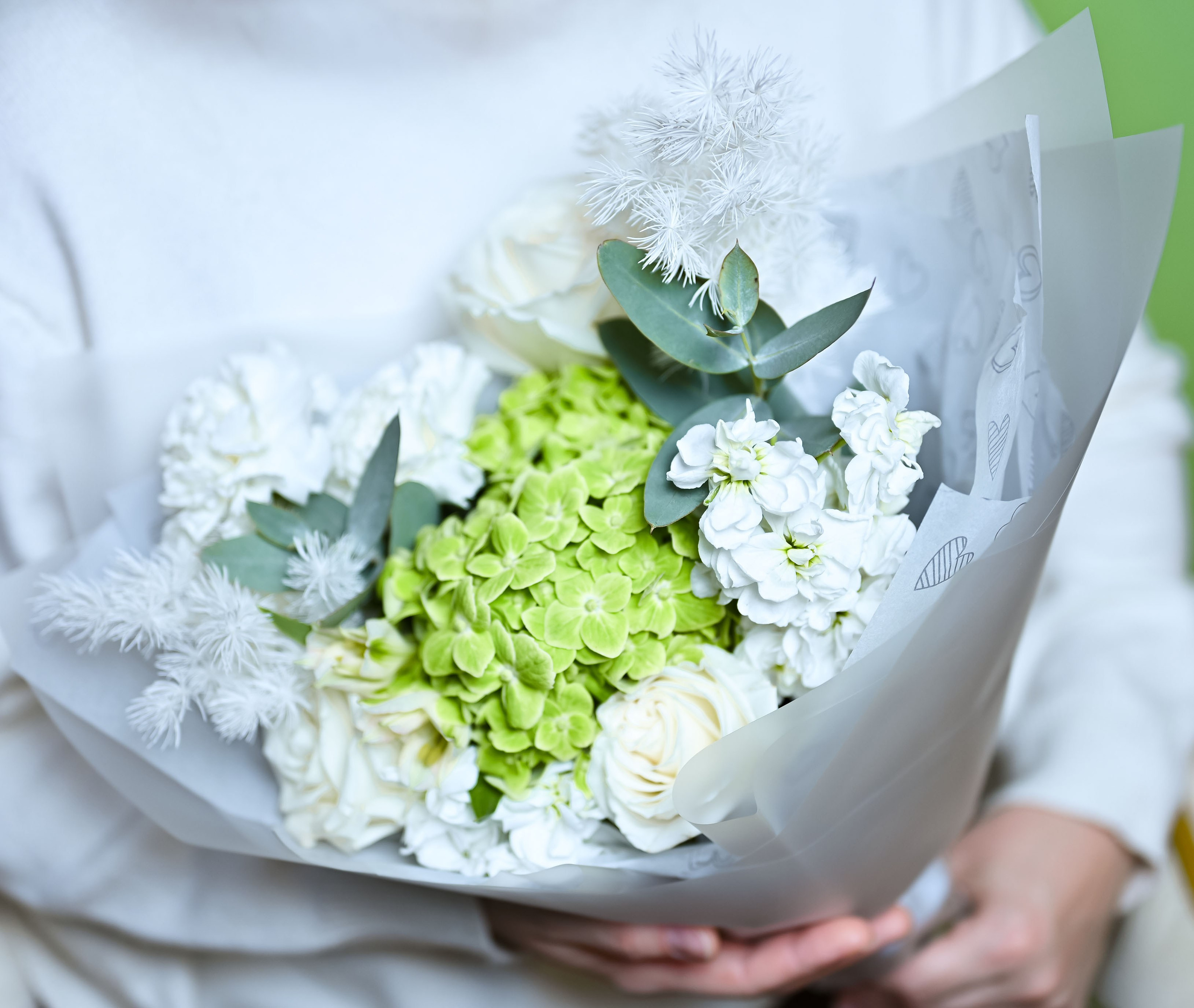 . ZDARONOKIA Репортажный фотограф