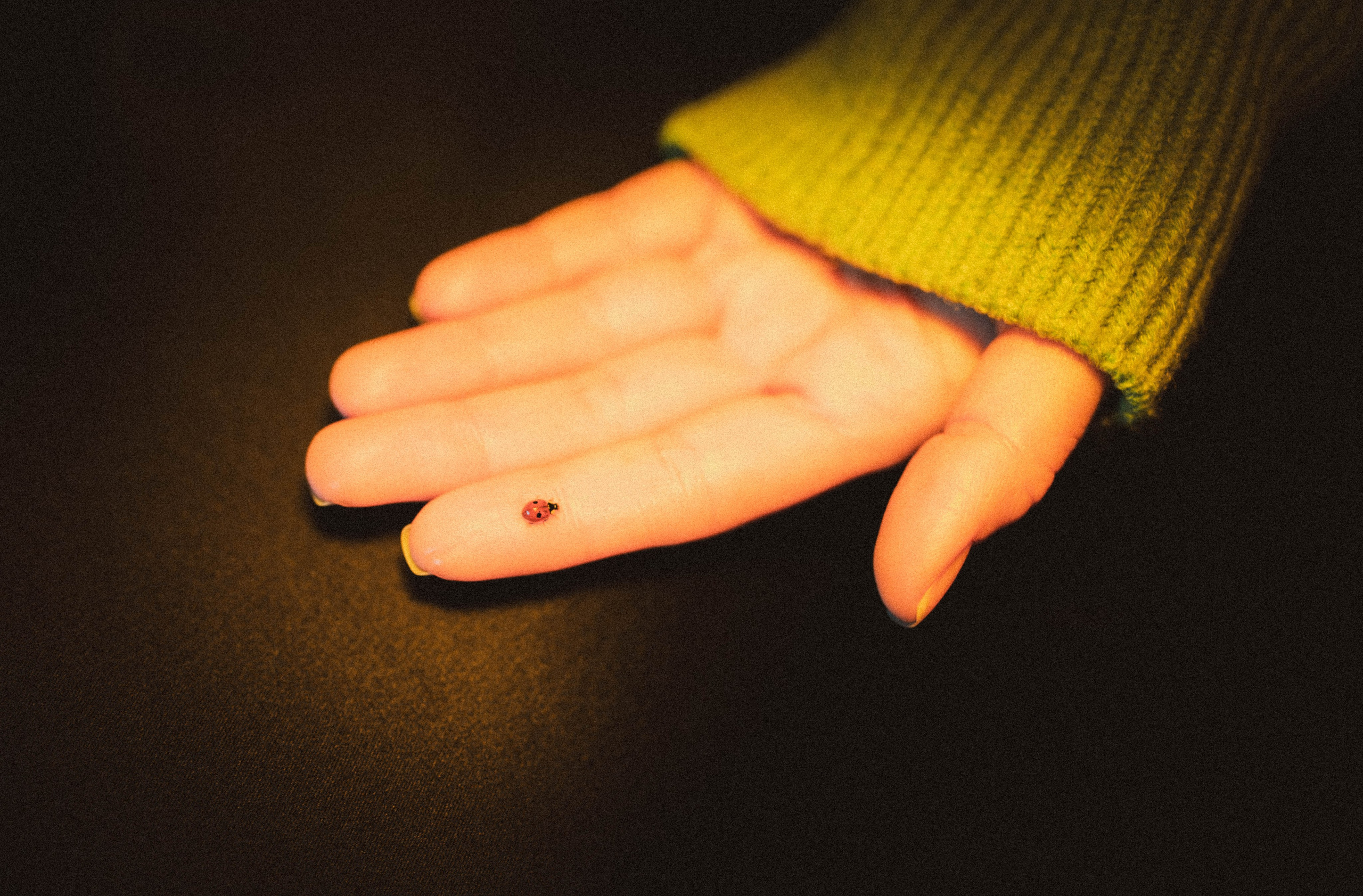 Диана. Александра Мельниченко/ Бегающий фотограф