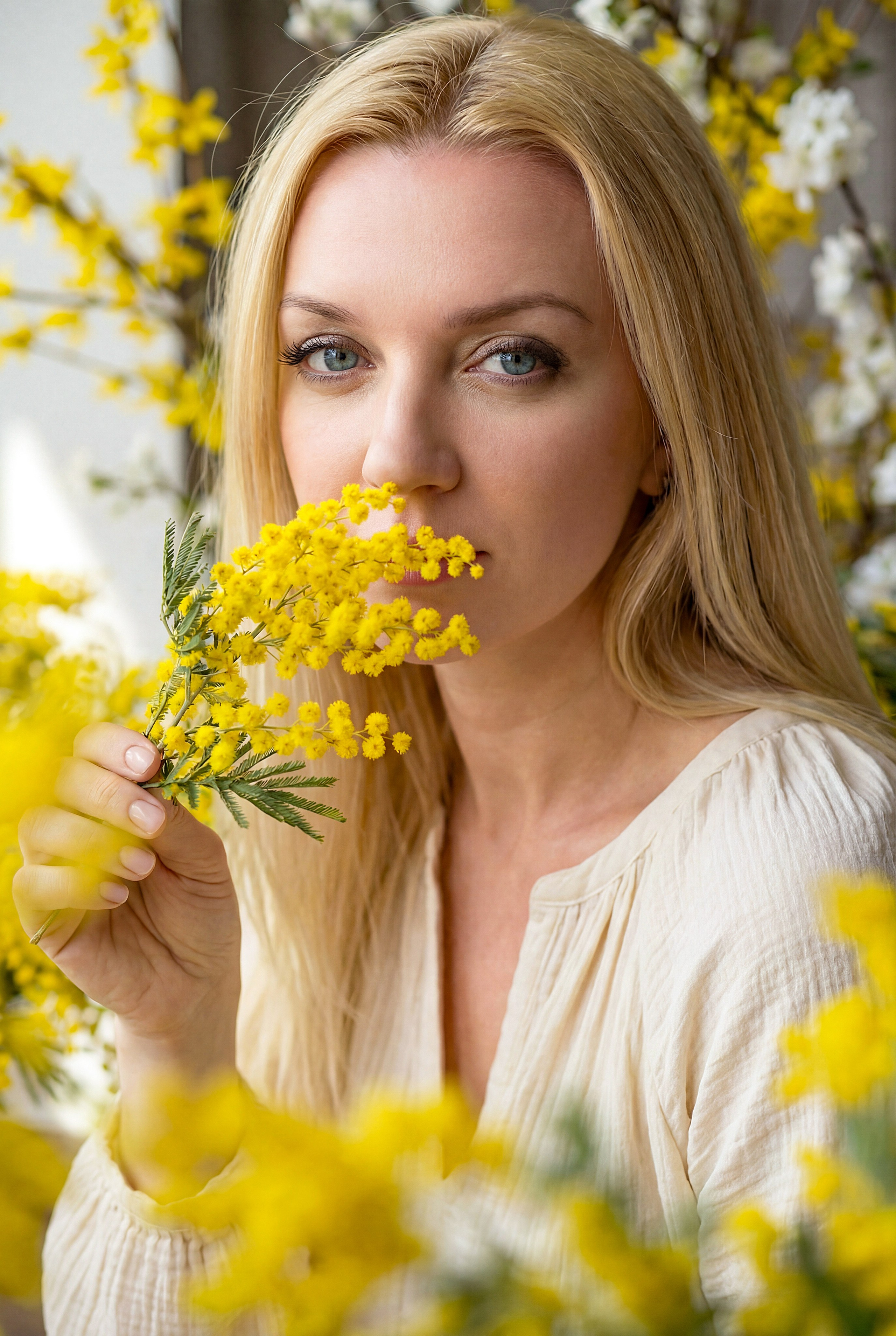 Мимоза. Шаблоны и дизайны выпускных альбомов и фотокниг