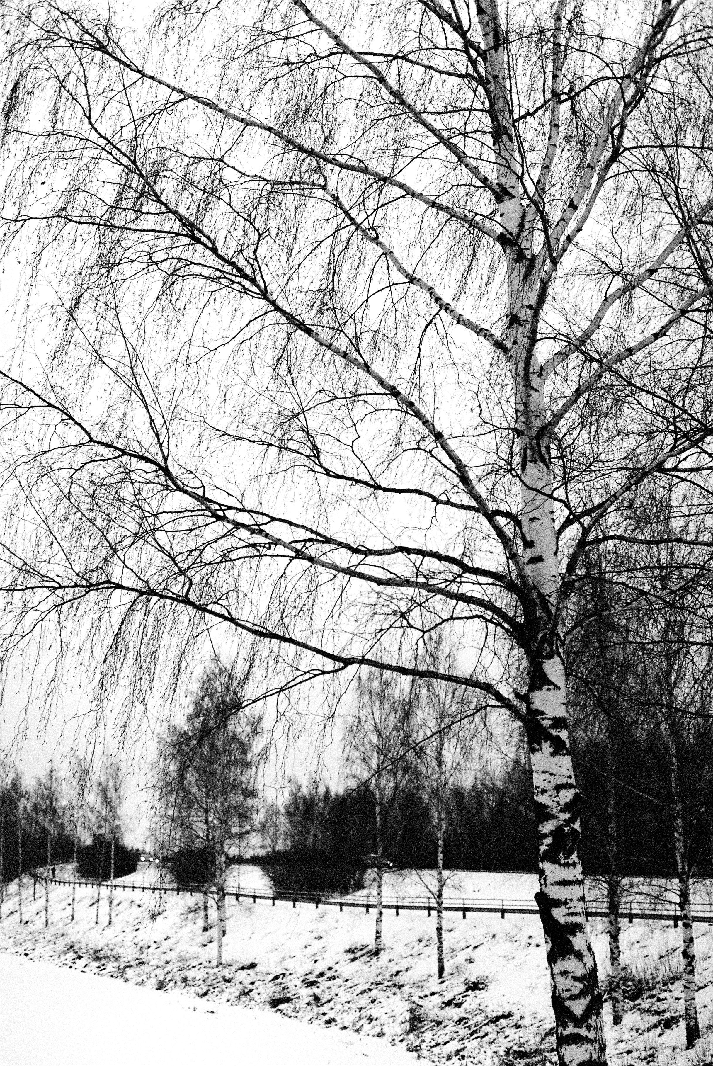 Film. Ruslan UI Dev Page