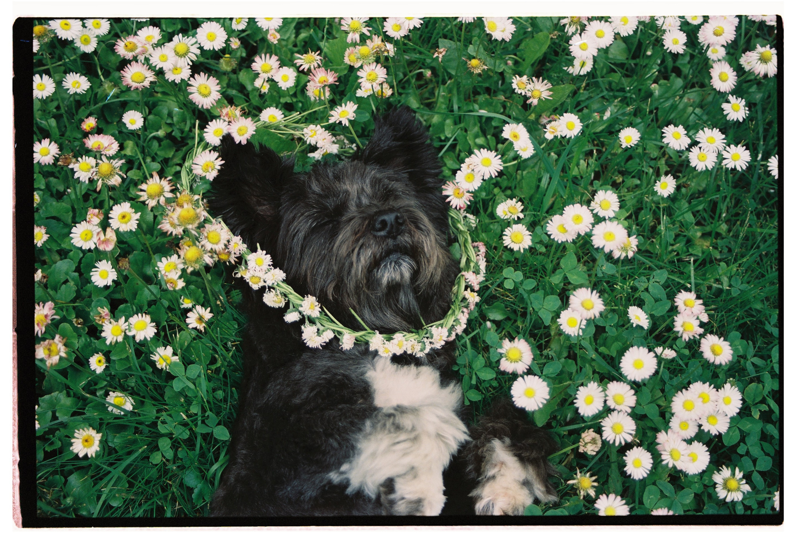 Стрит. Фотограф Соня с Земли