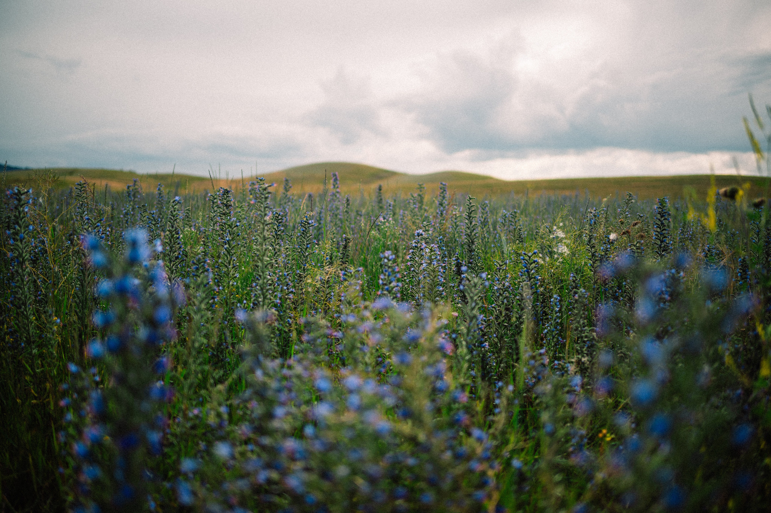 Чарын-Кольсай: лето 2024. Фотограф в Алматы — Дарья Фёдорова