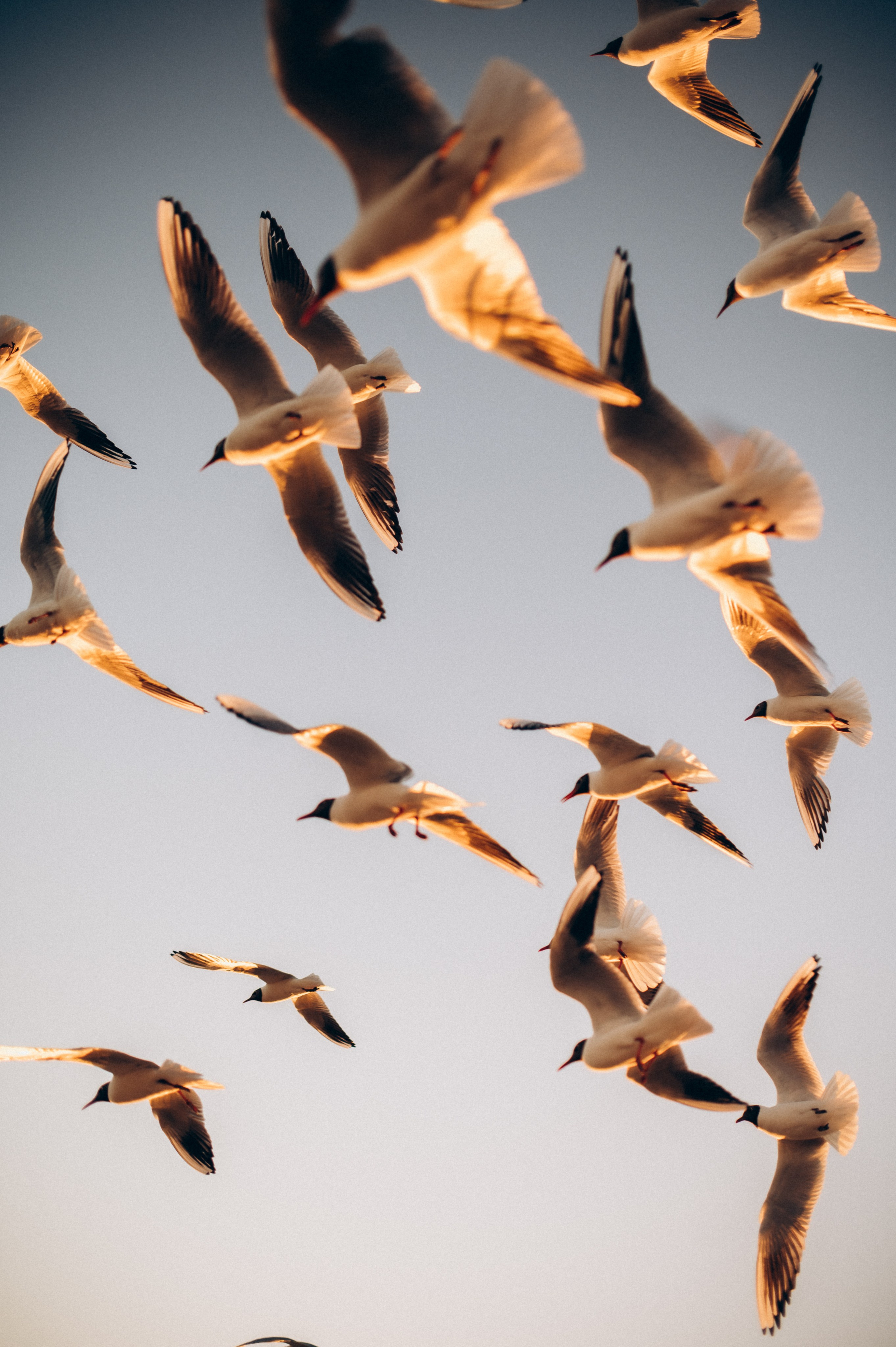 Семейная на заливе. Фотограф ПИТЕР СПБ Надежда Баранова