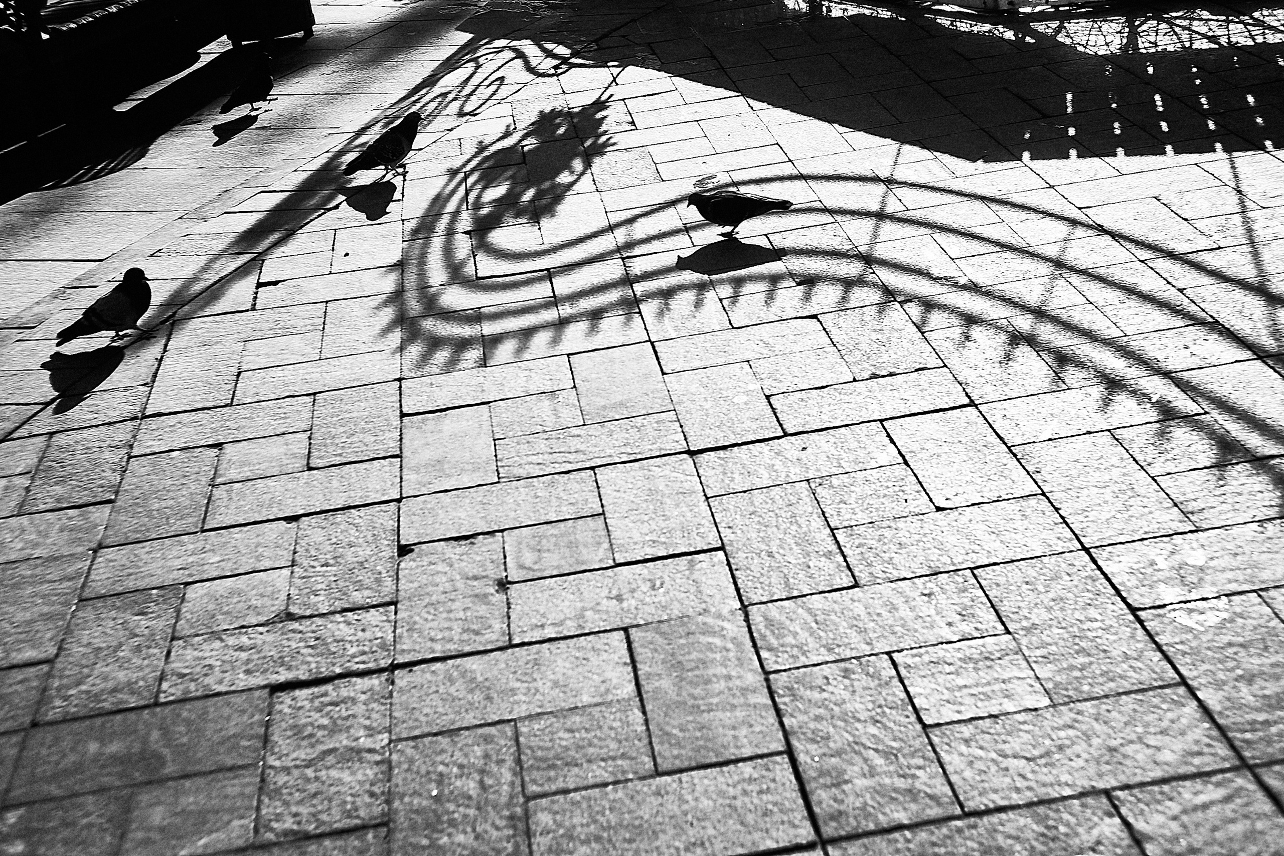 Москва в ЧБ. 23-24. Фотограф и оператор мероприятий, концертов и портретов в городе Москва