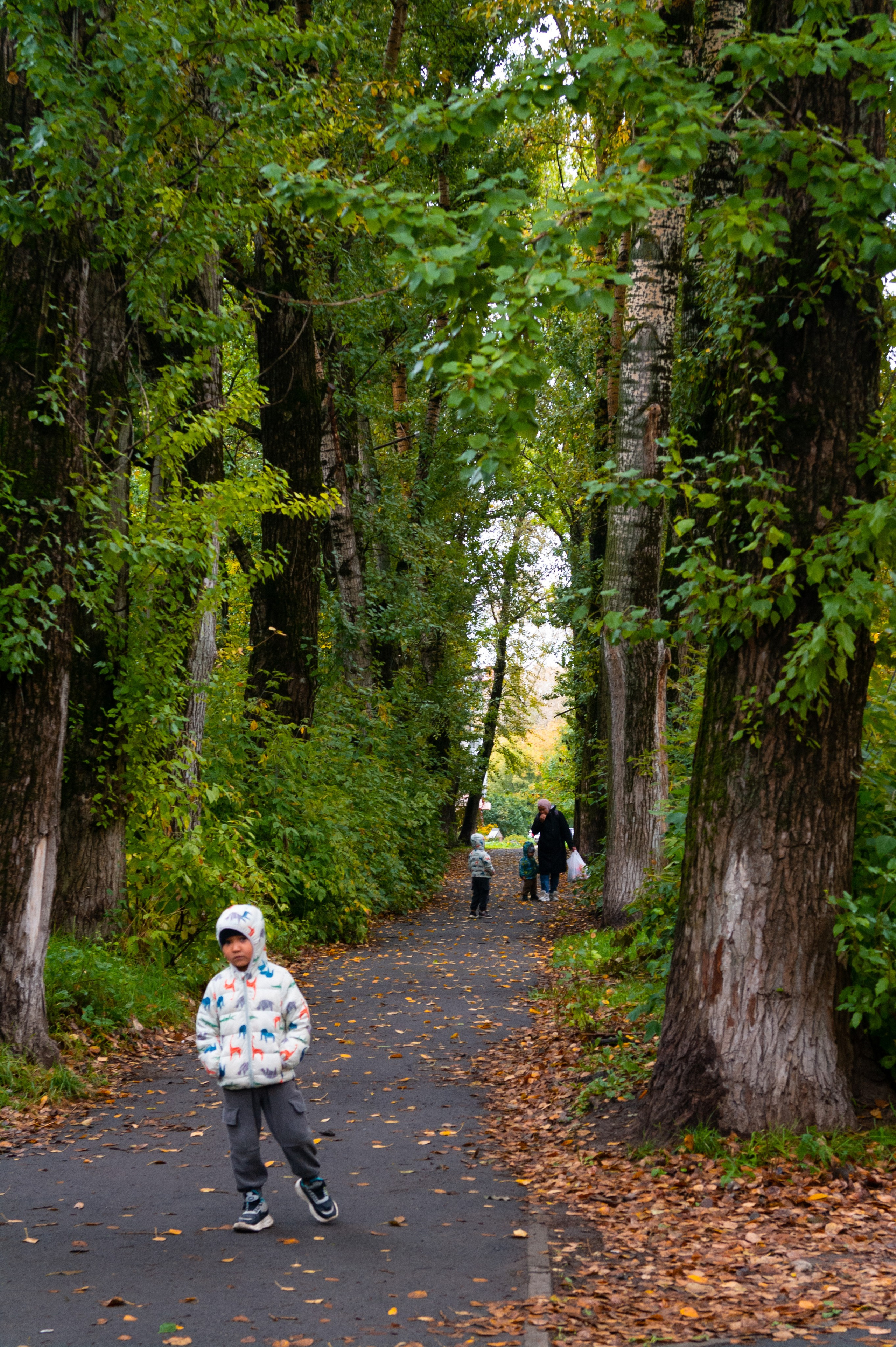 Сентябрь 2025. Den Mirov — Фотограф, Музыкант