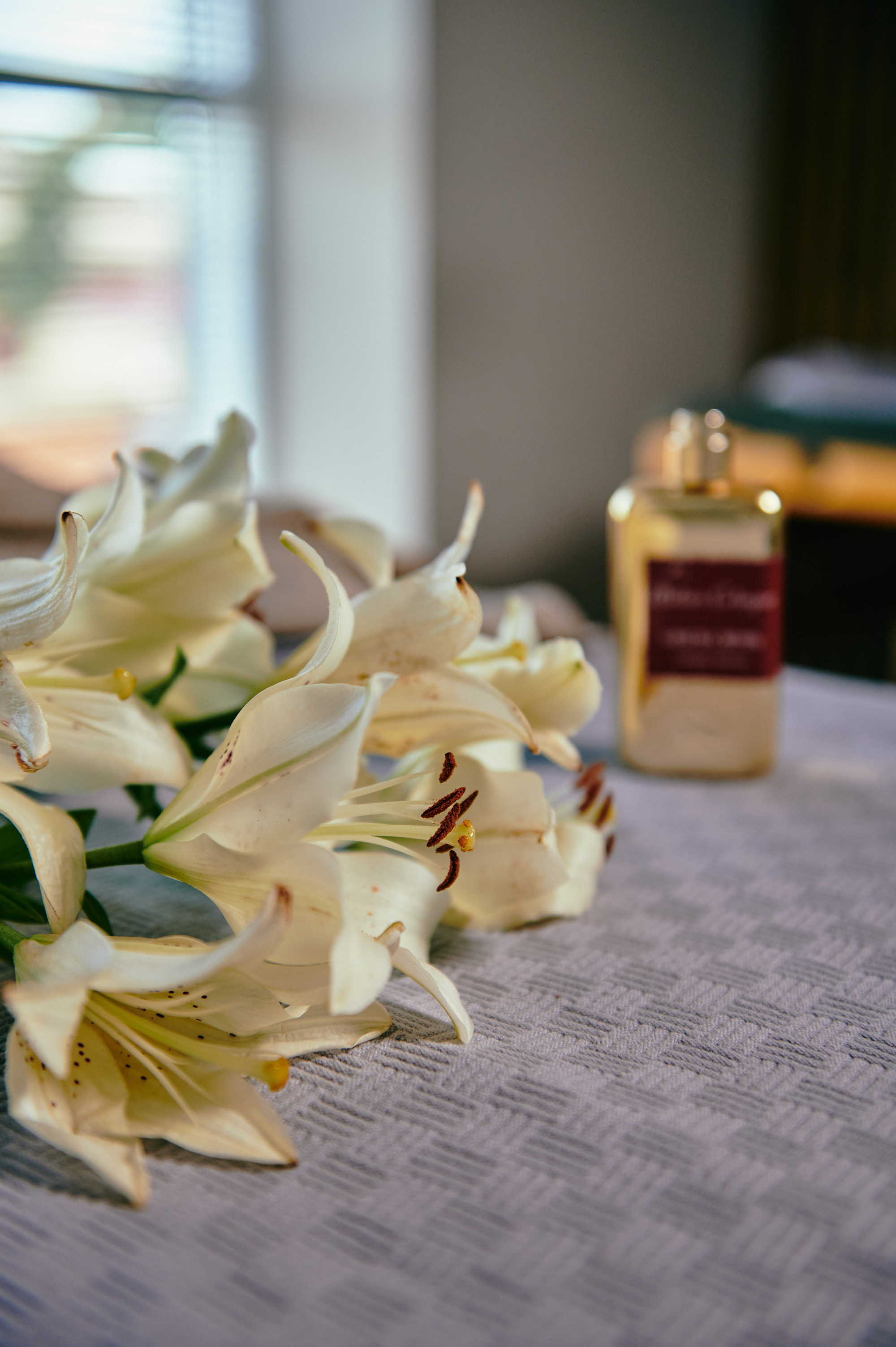 Контент съёмка для массажного кабинета. Рустам Латынов — профессиональный фотограф