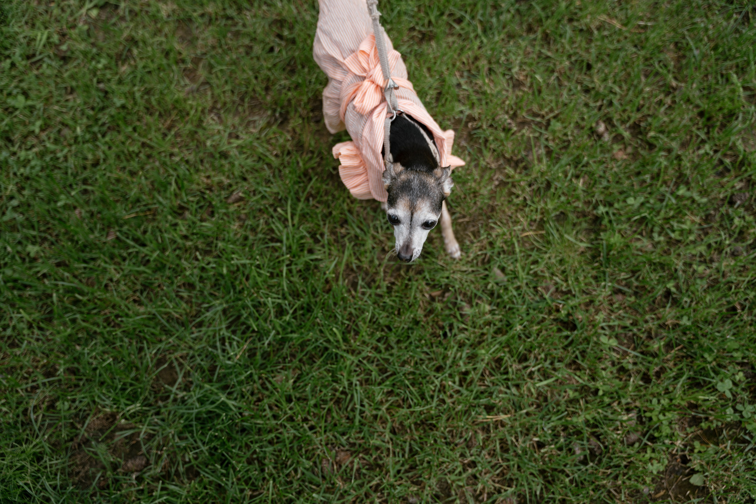 Витя и Аня. Фотограф Томск, Новосибирск Влад Свириденко