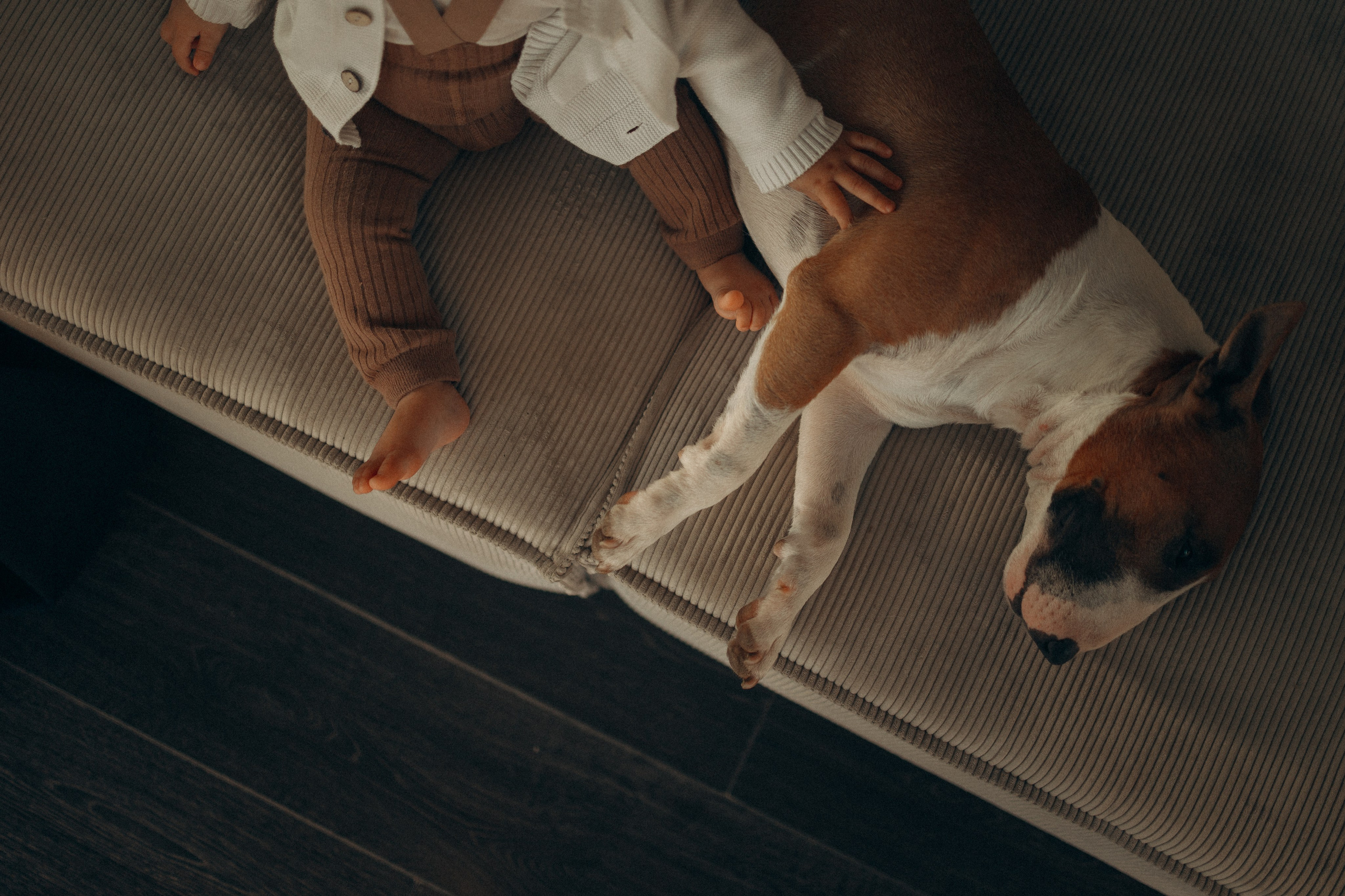 Семейная. Фотораф — анималист Мария Шистка