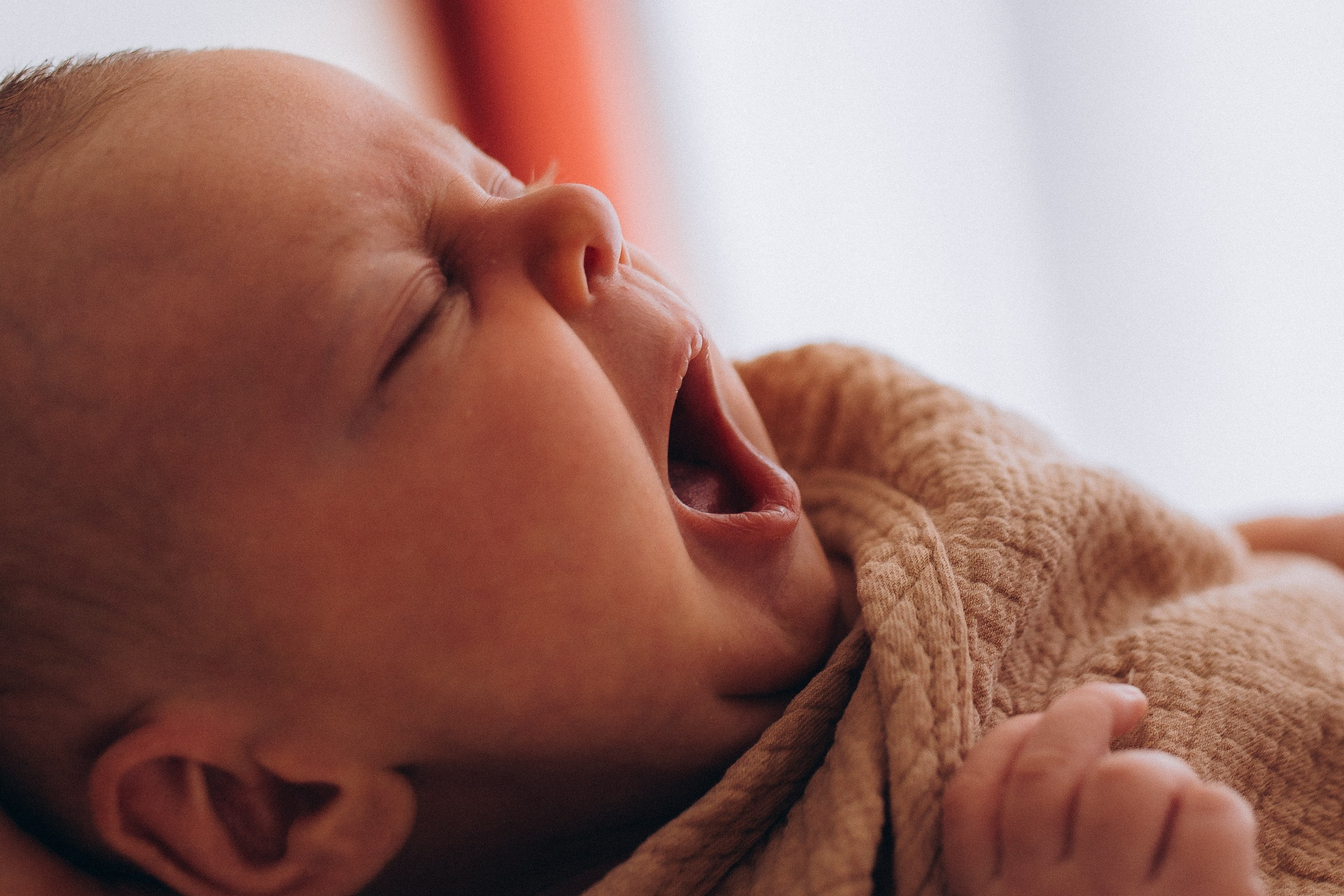 Séance newborn Sasha. Photographe des familles et enfants à Nantes et alentours