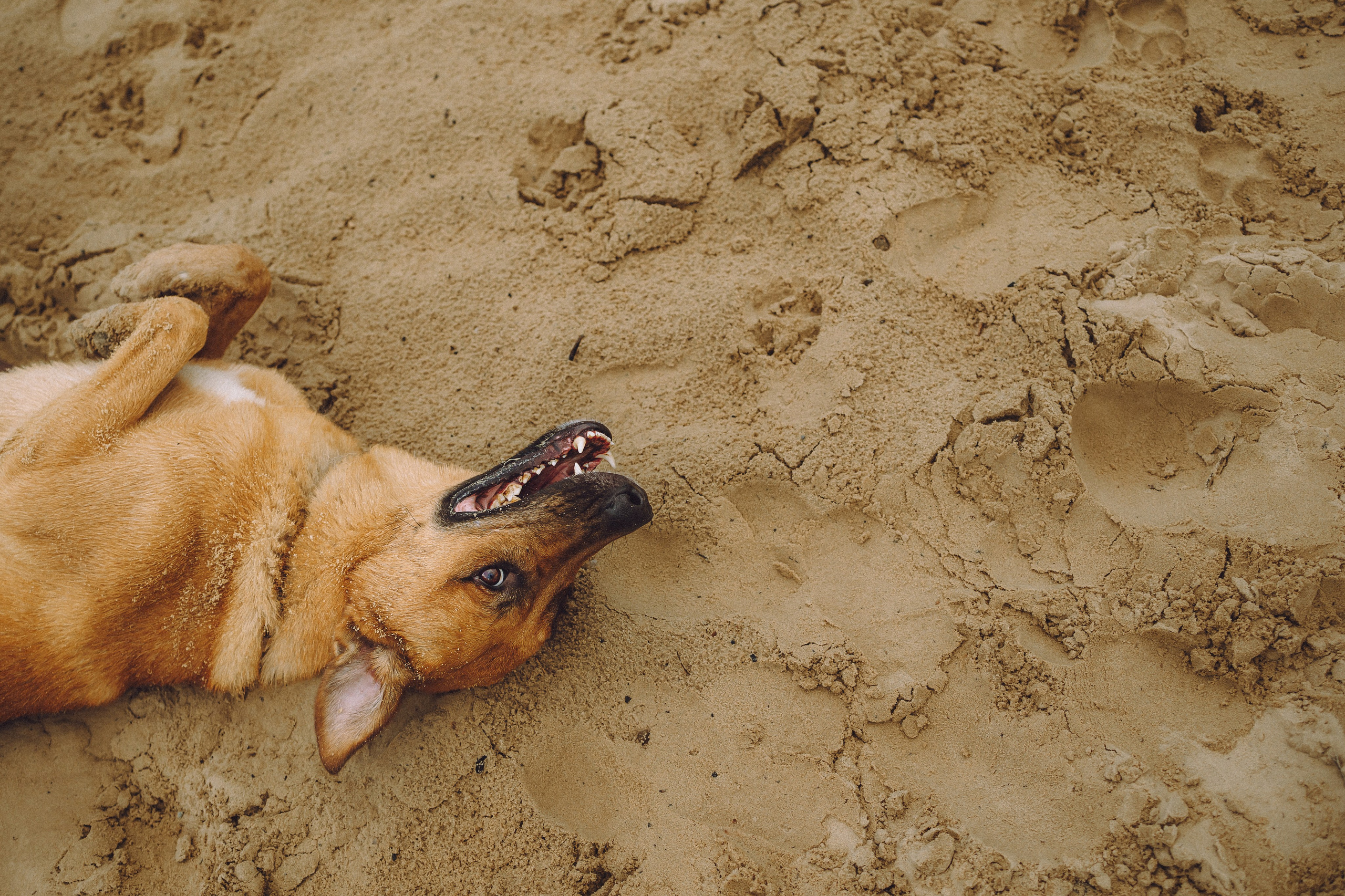 Роби, Тео и их семья