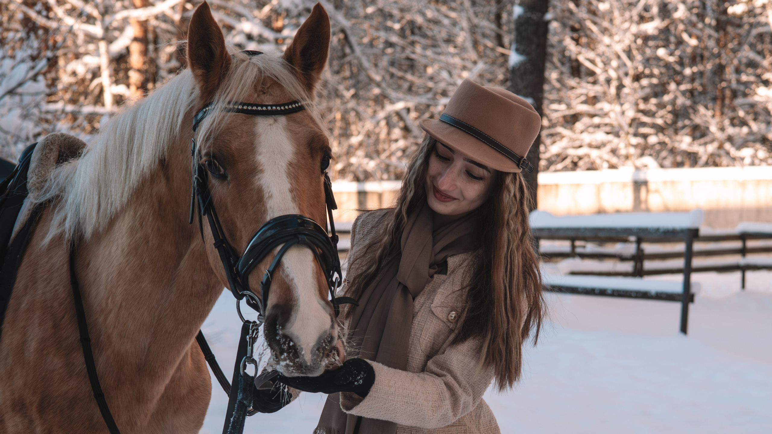 Как в сказке…