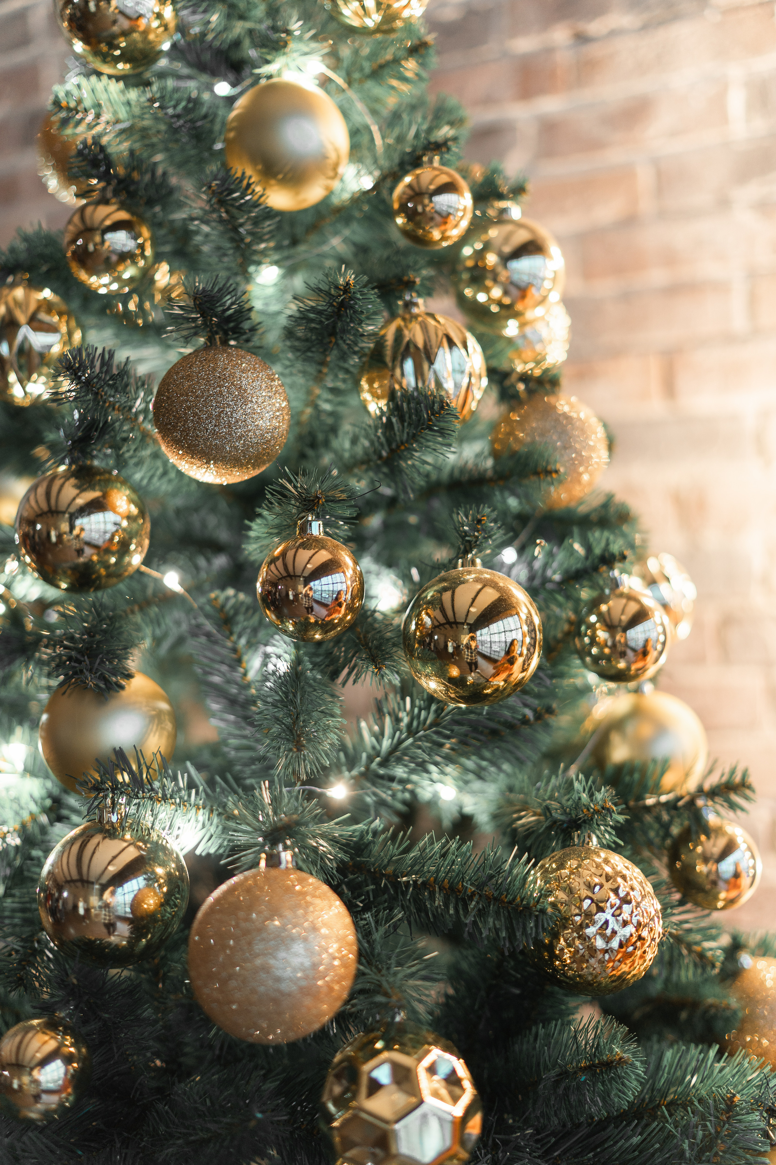 История любви. Антон Катушенок — фотокорреспондент города Набережные Челны