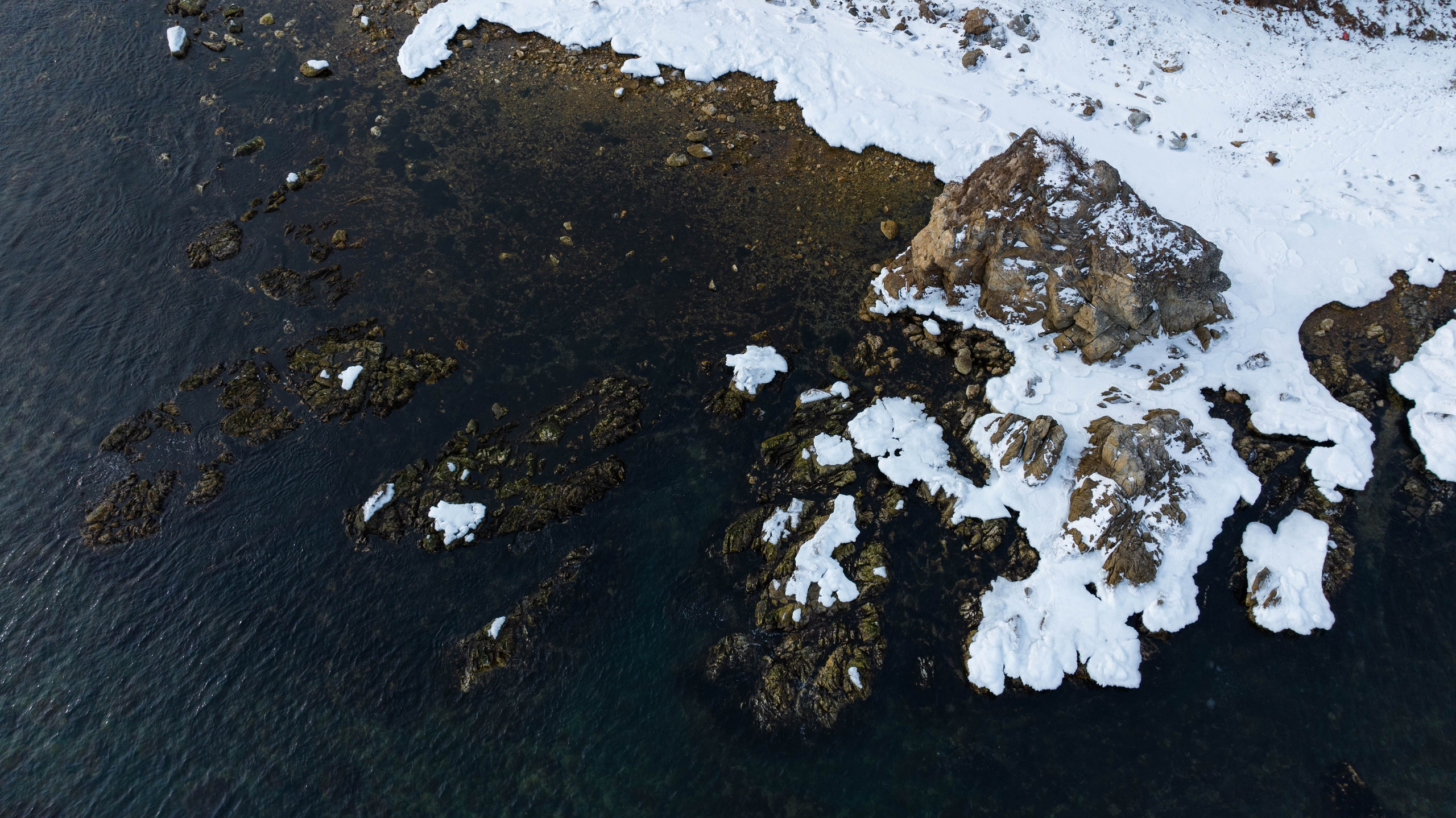 Бухта Пущина. Турист оптимист