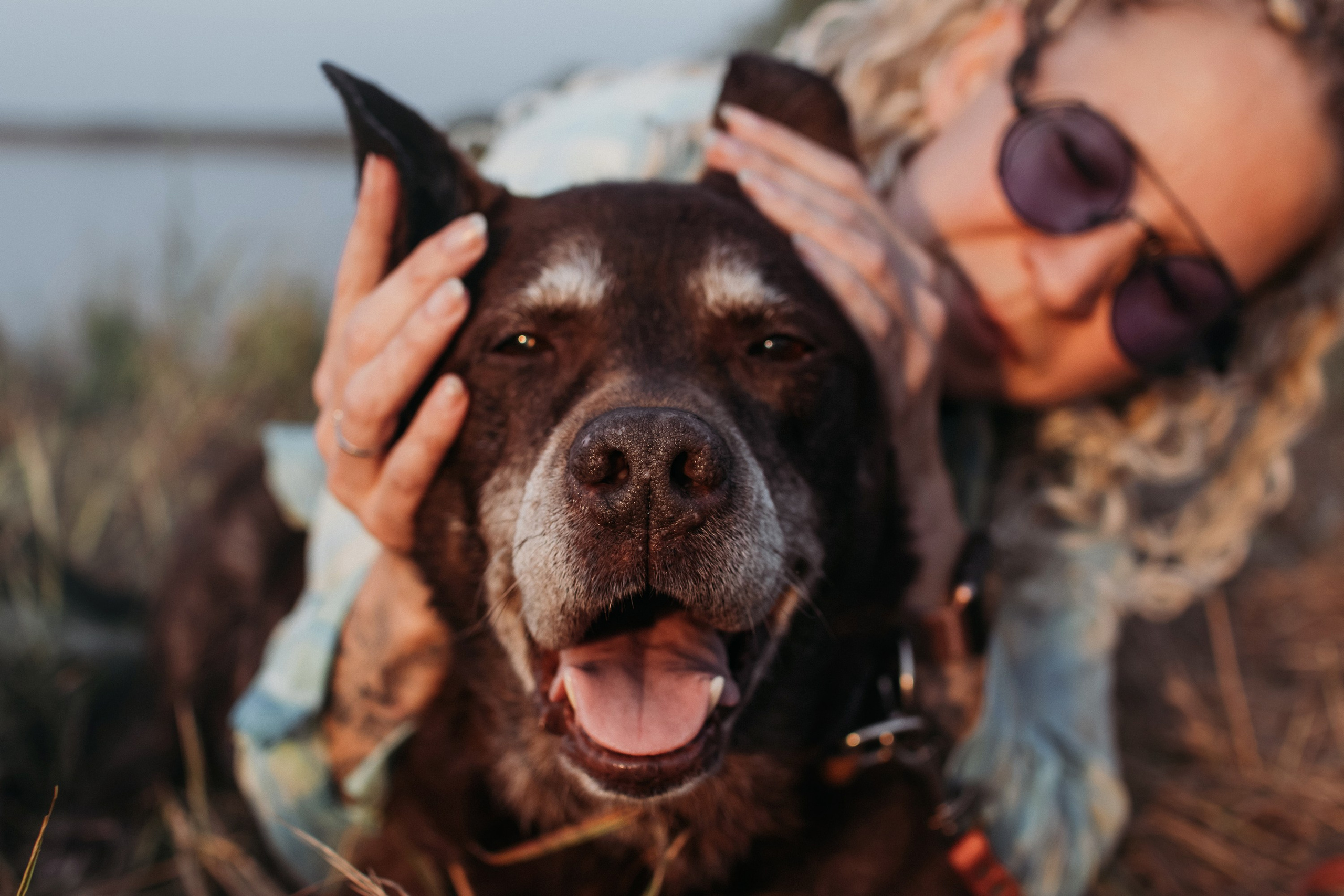Юля и Свити. Фотограф Наталья Потапова