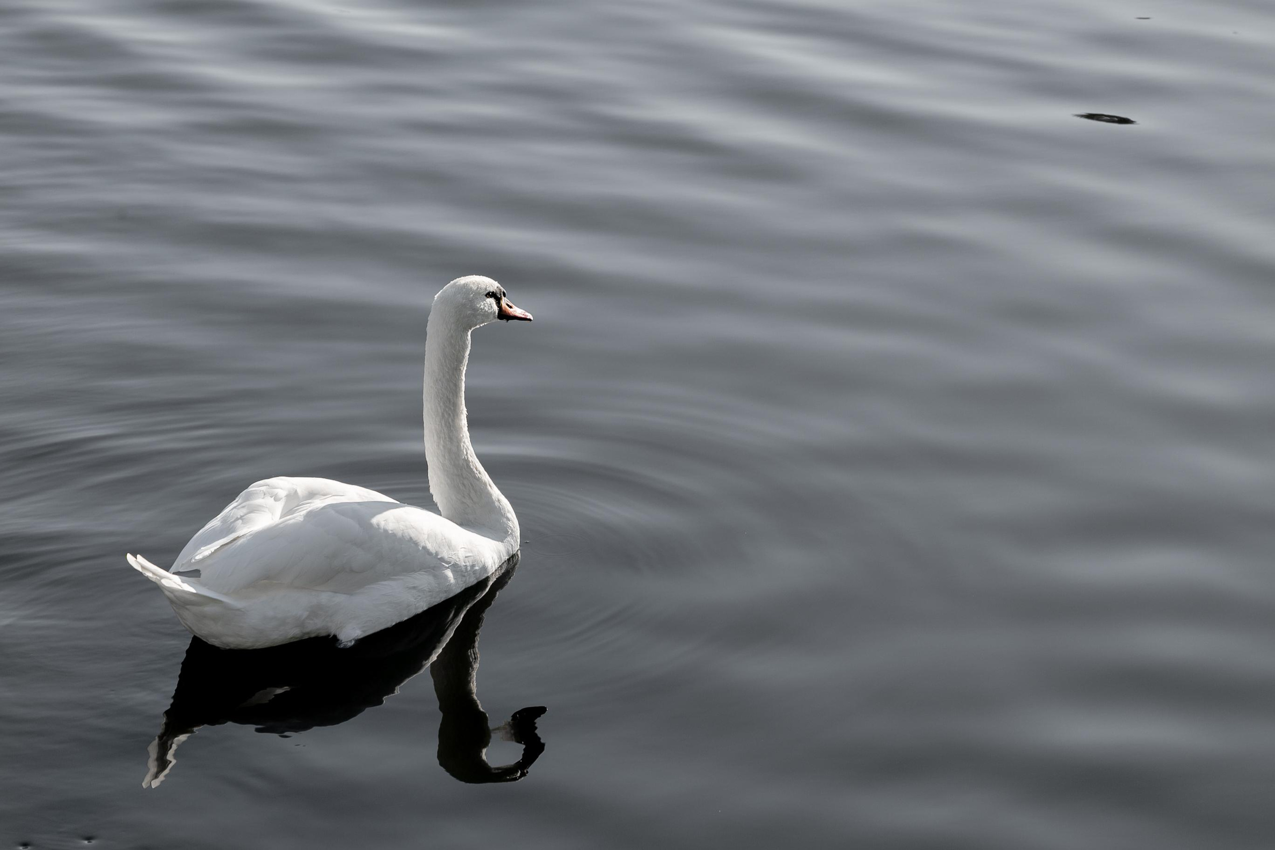 Пейзажи и город