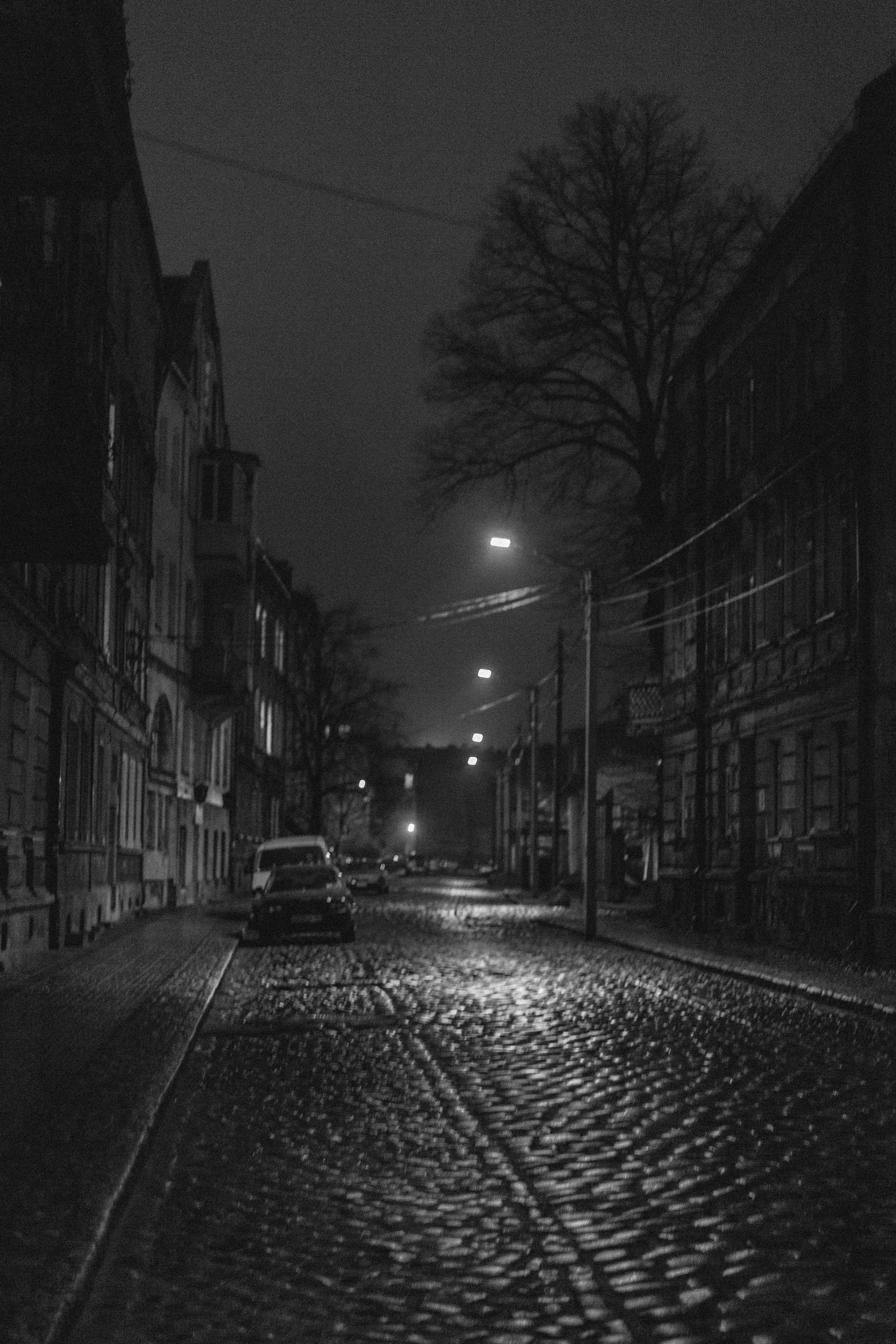 Пейзажи и город