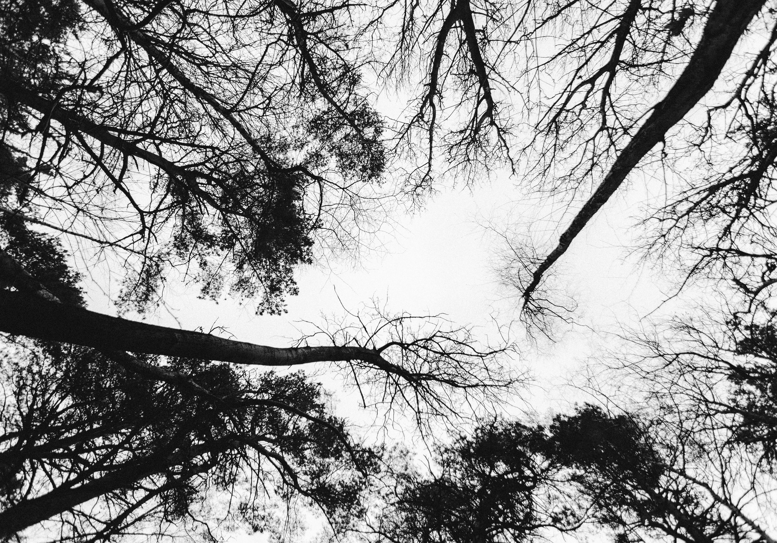 Пейзажи и город