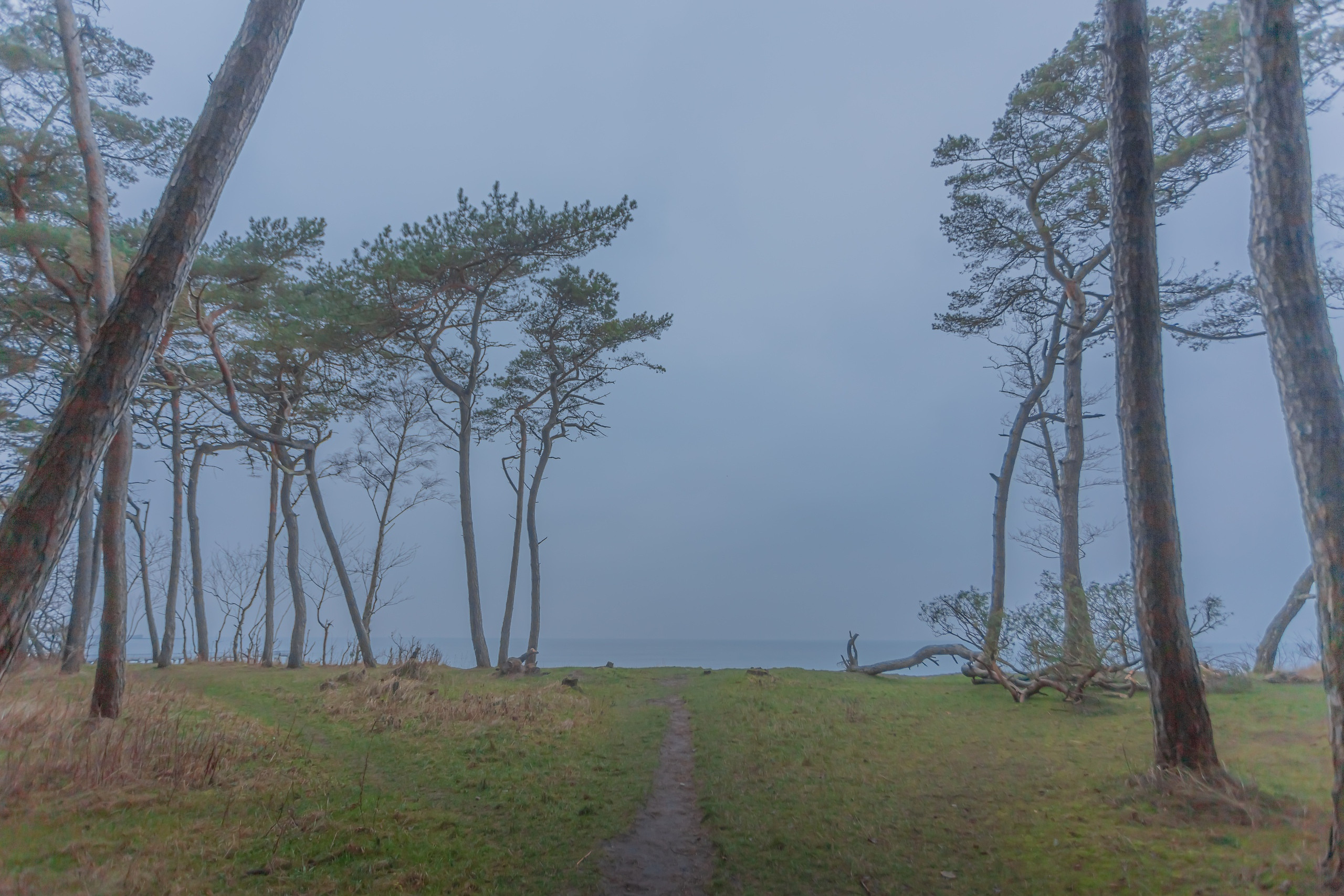 Пейзажи и город