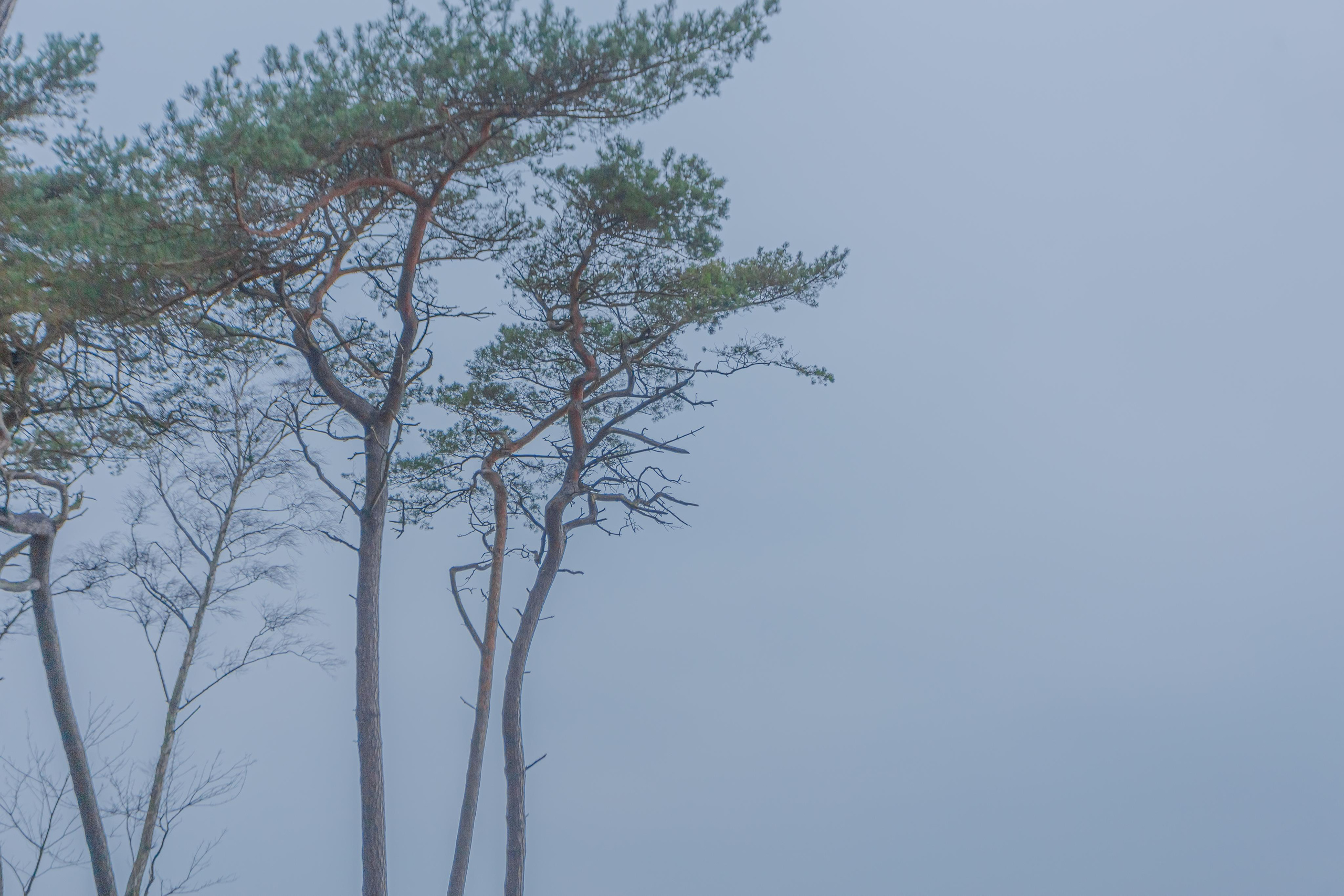 Пейзажи и город