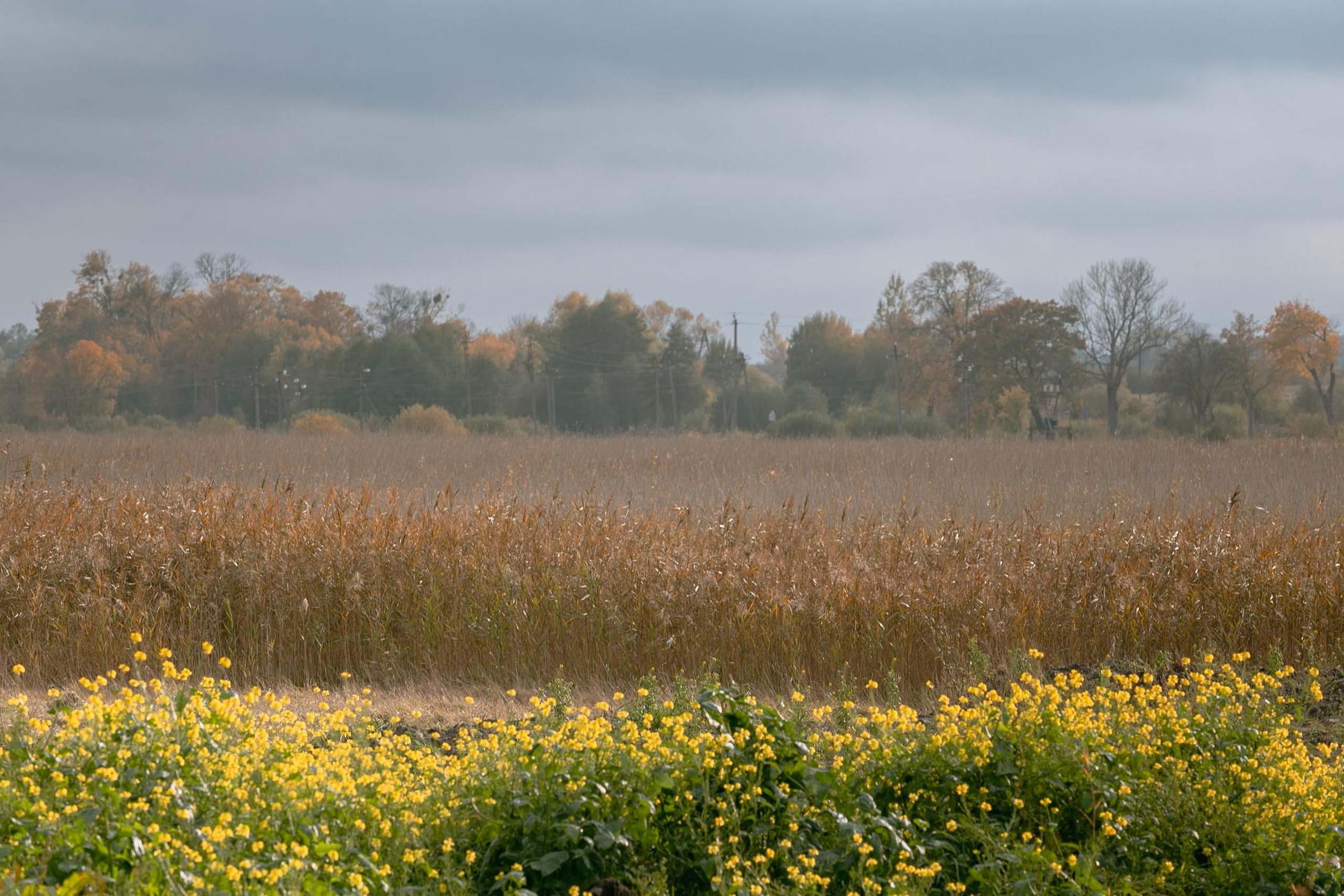 Пейзажи и город