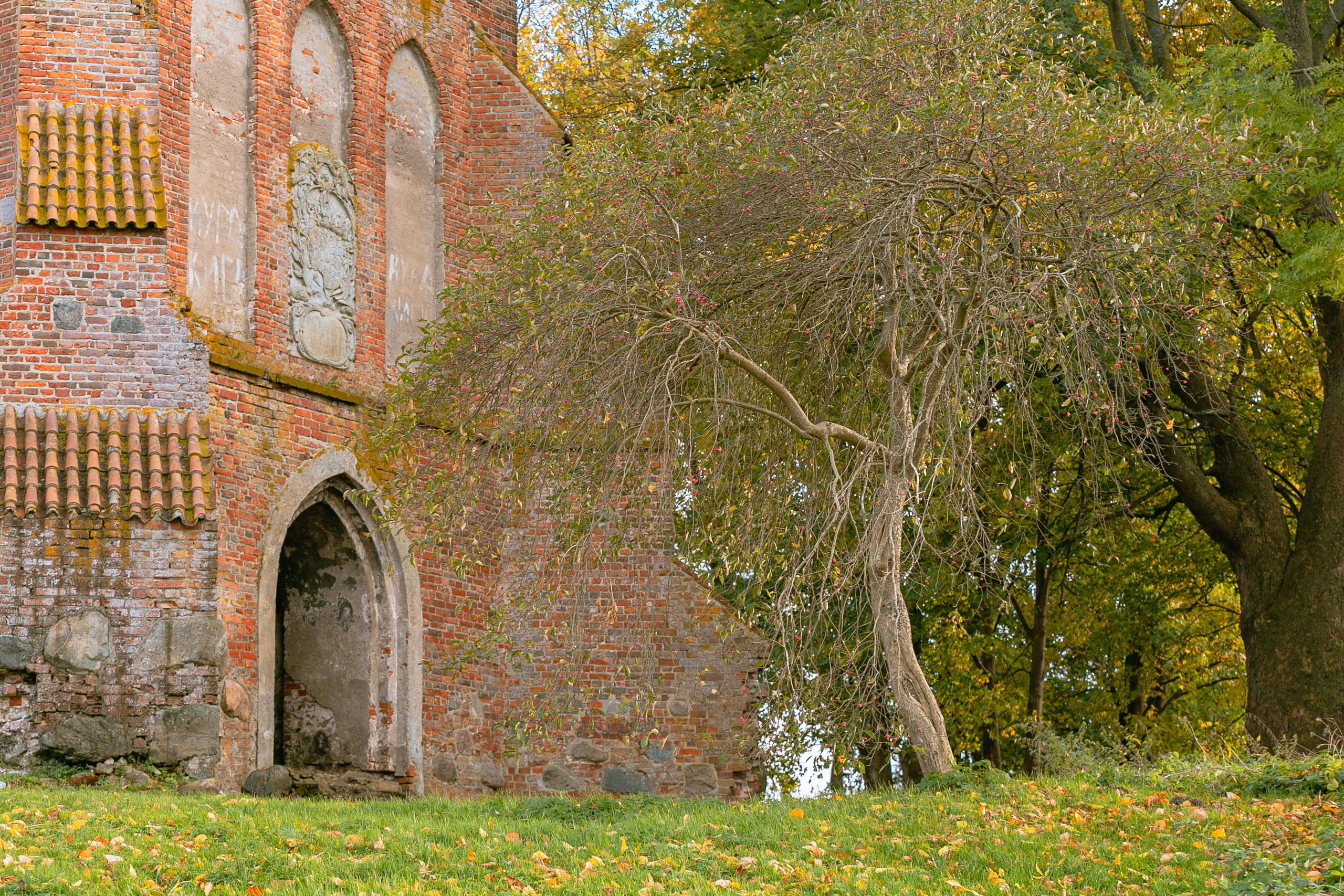 Пейзажи и город
