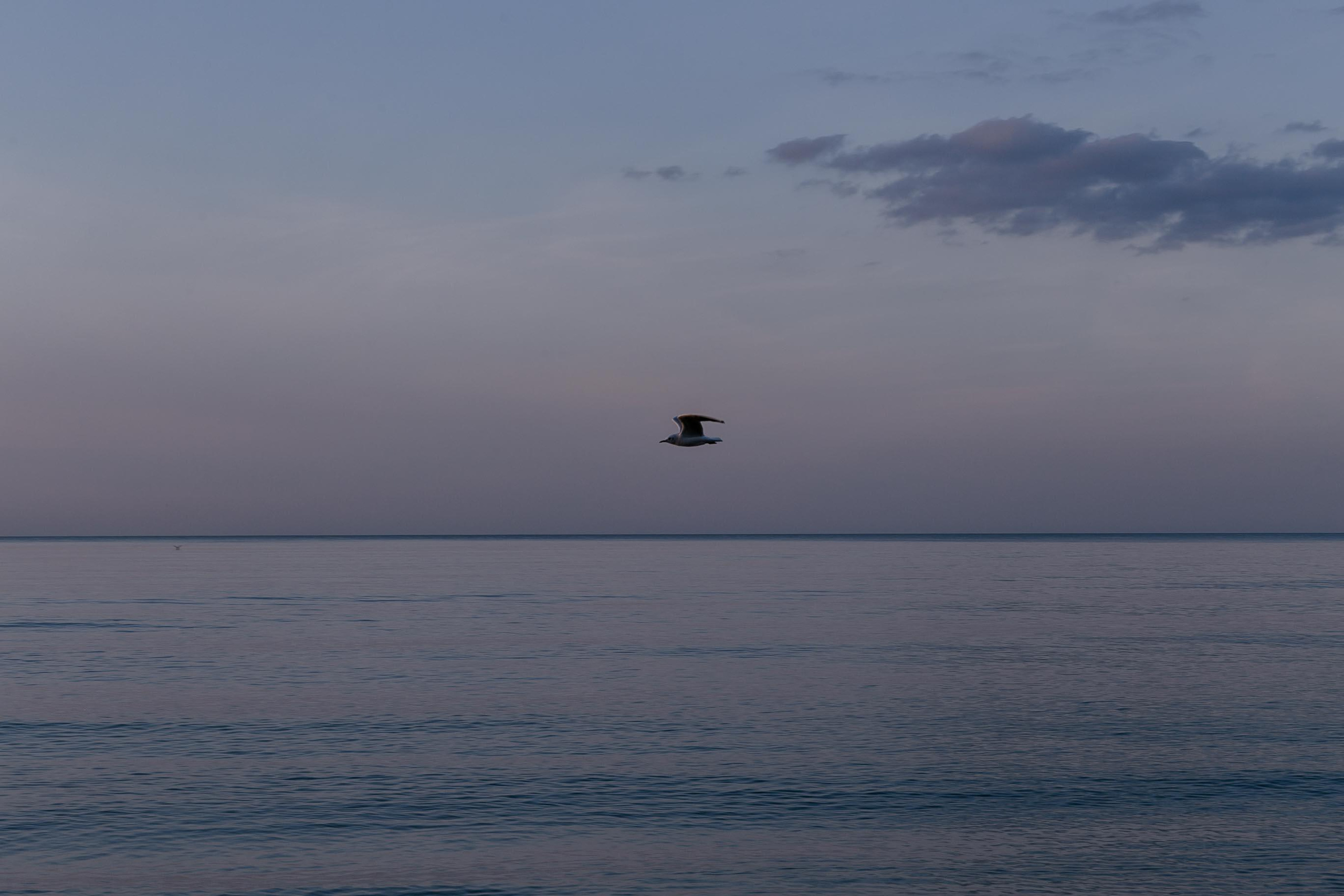 Пейзажи и город