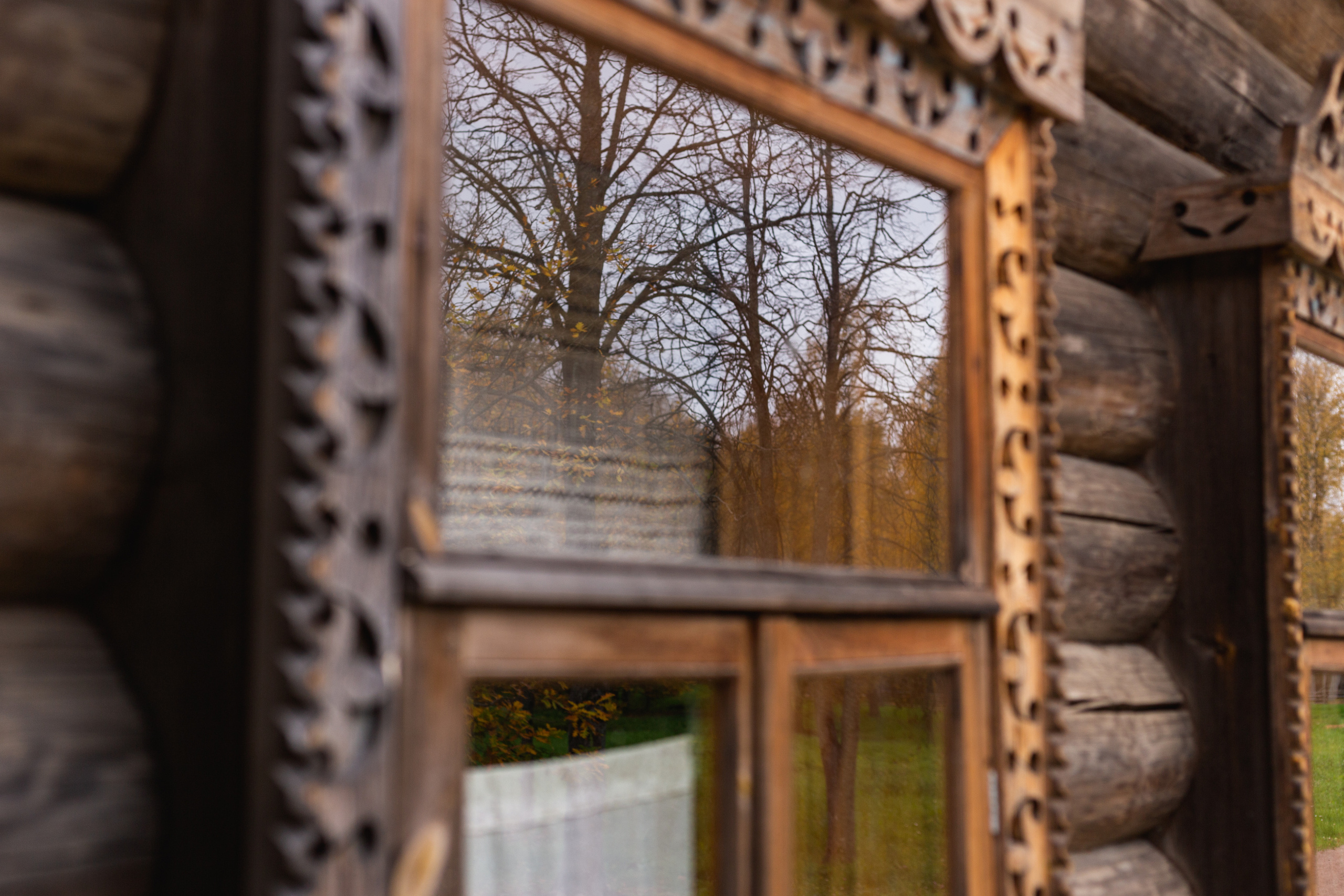 Пейзажи и город