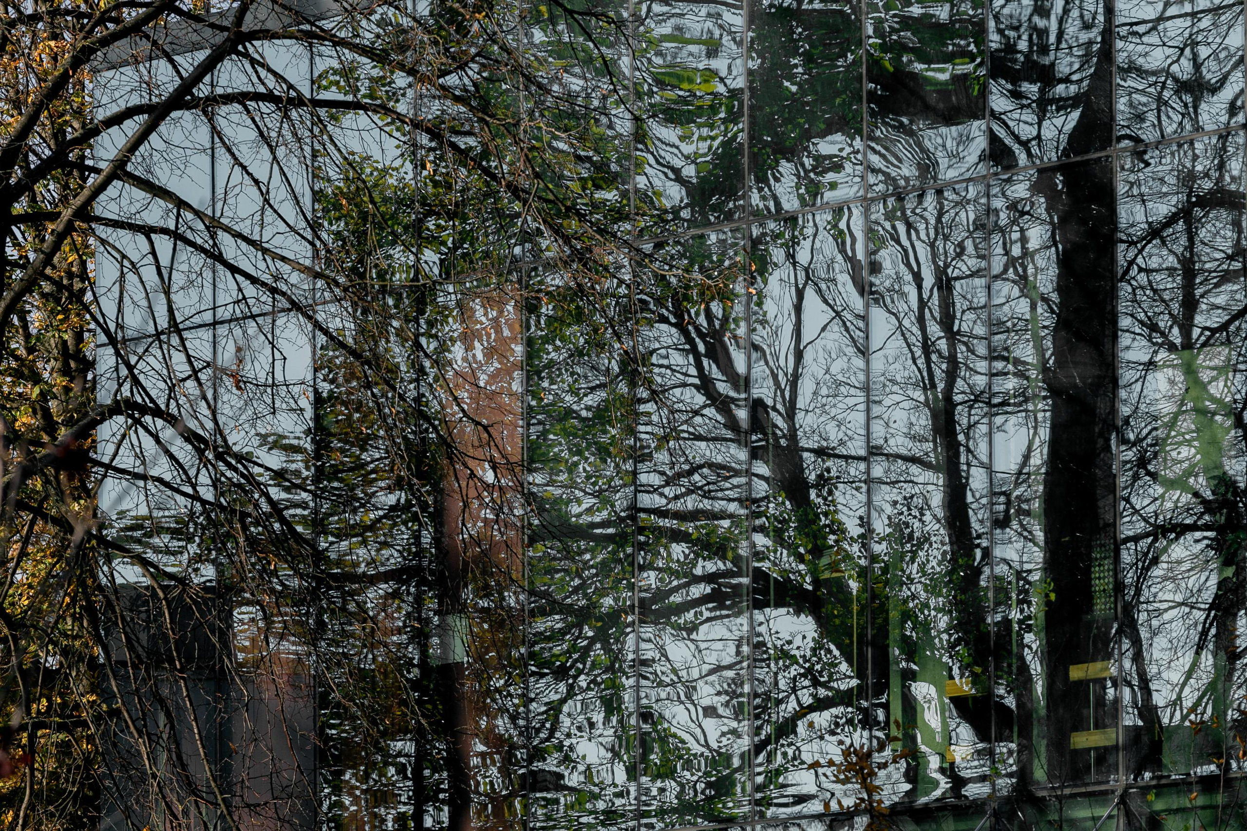 Пейзажи и город