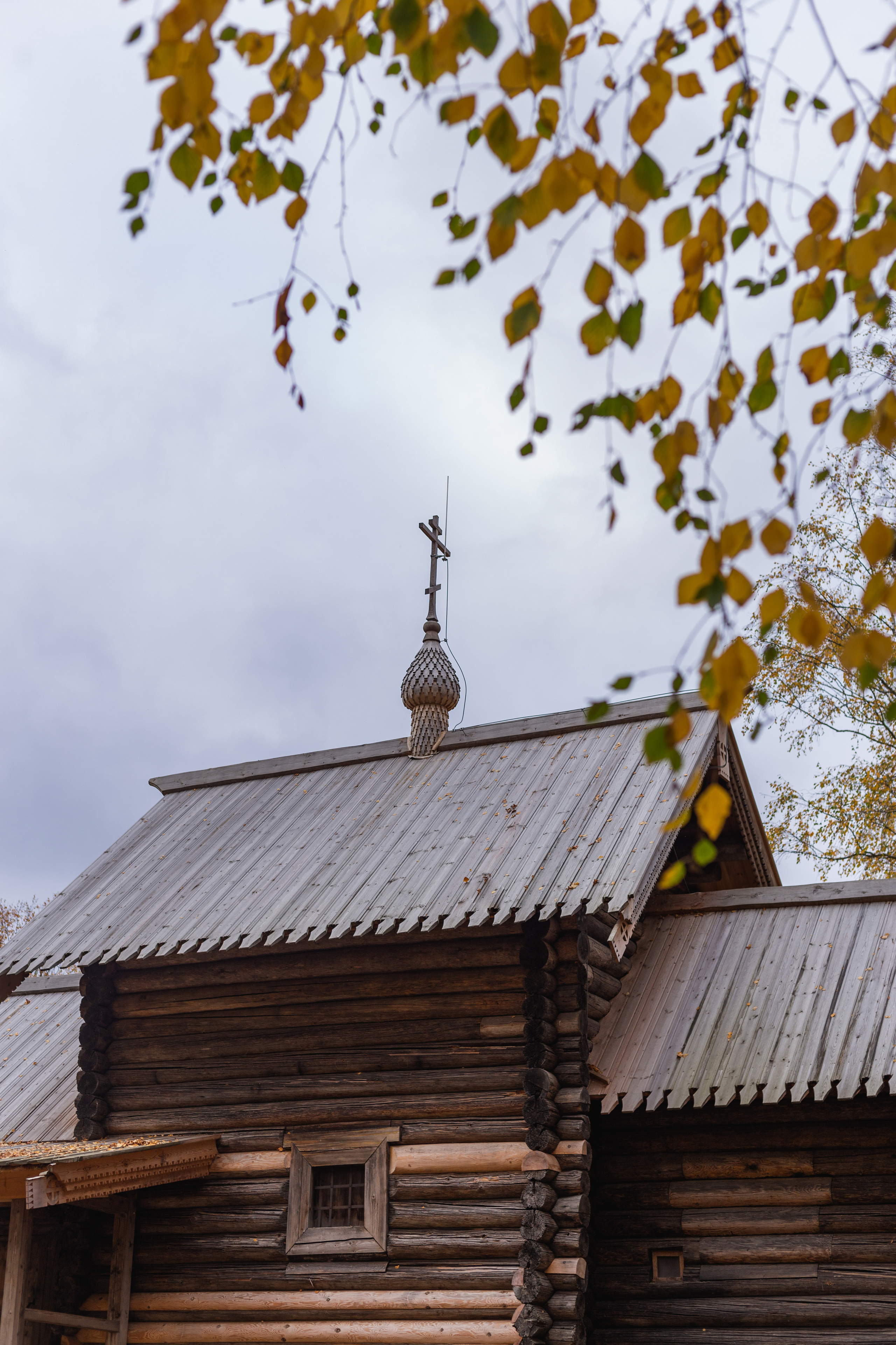 Пейзажи и город