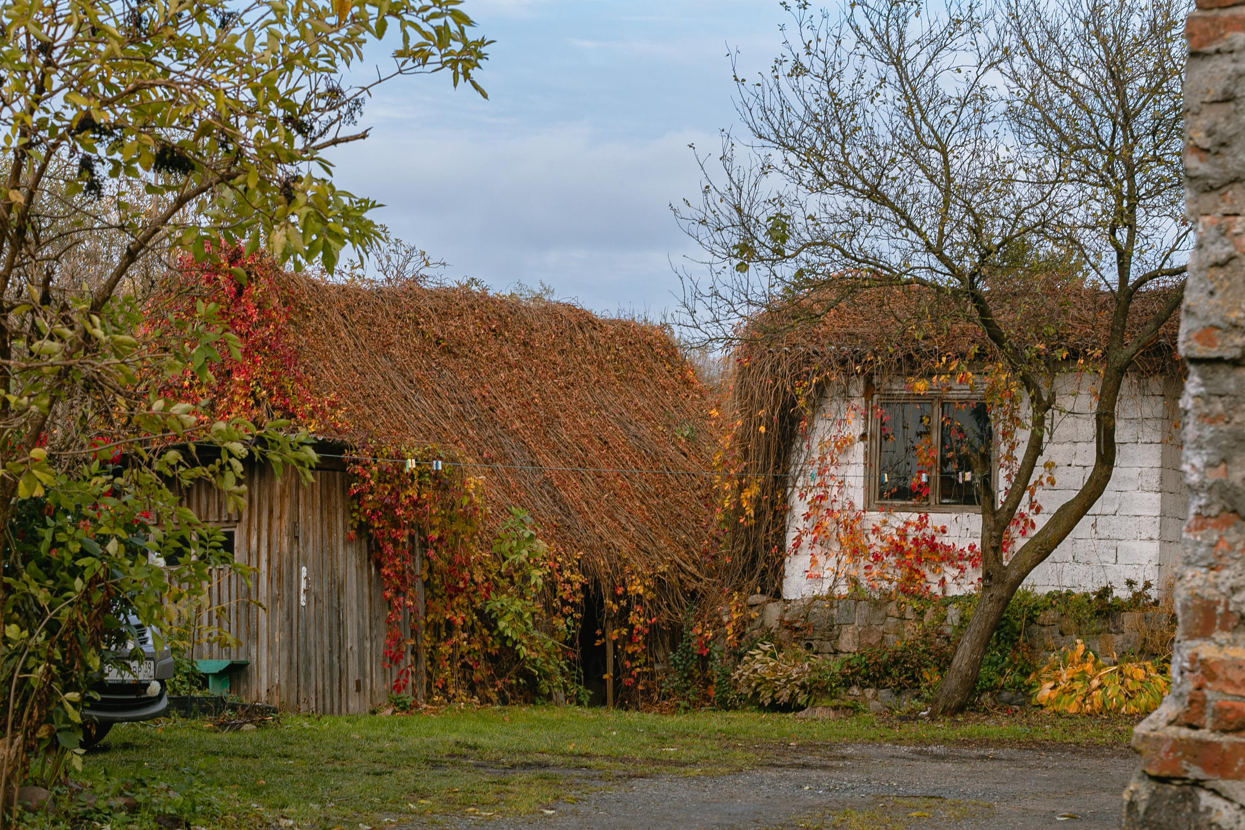 Пейзажи и город