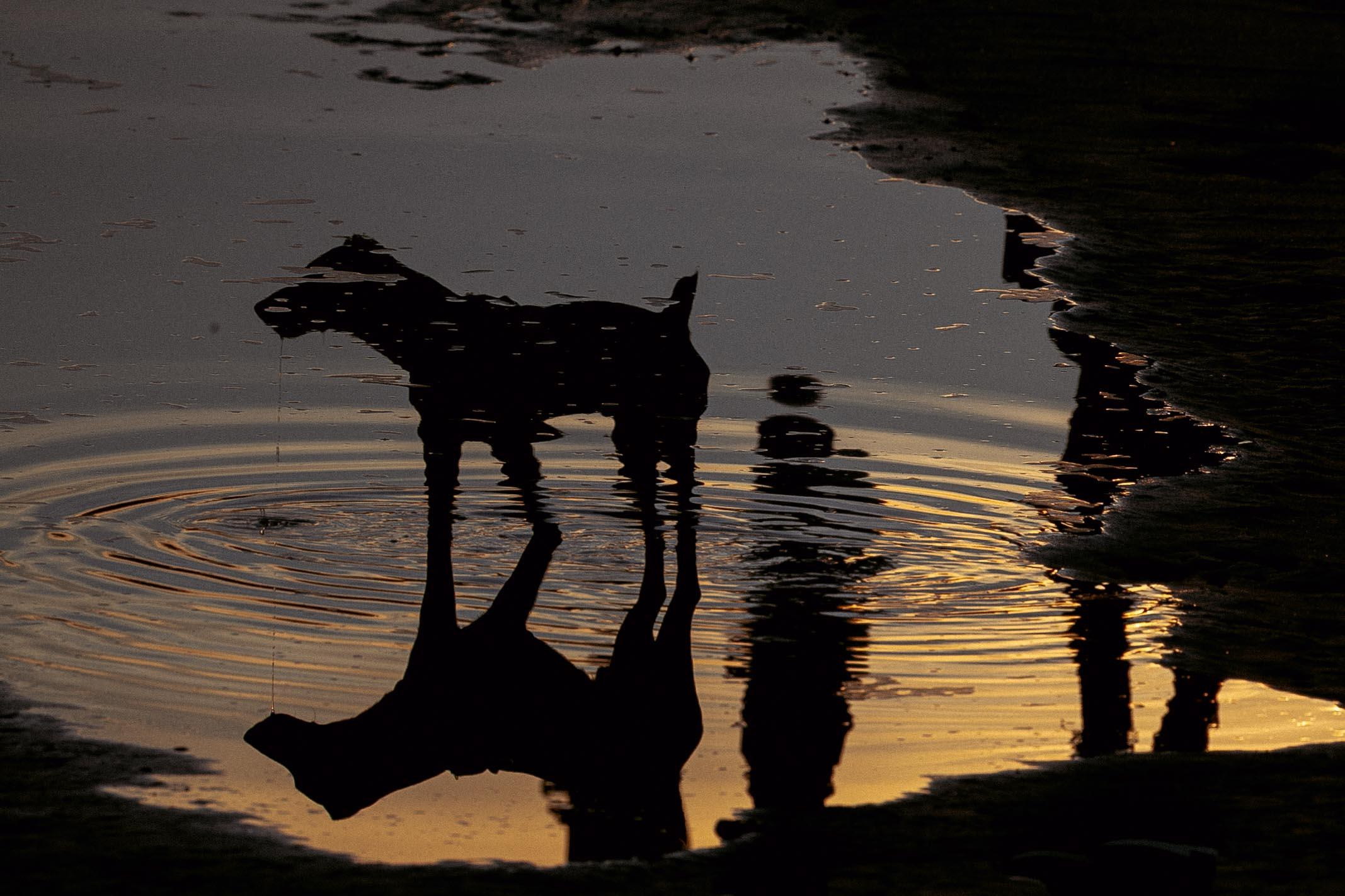 Пейзажи и город