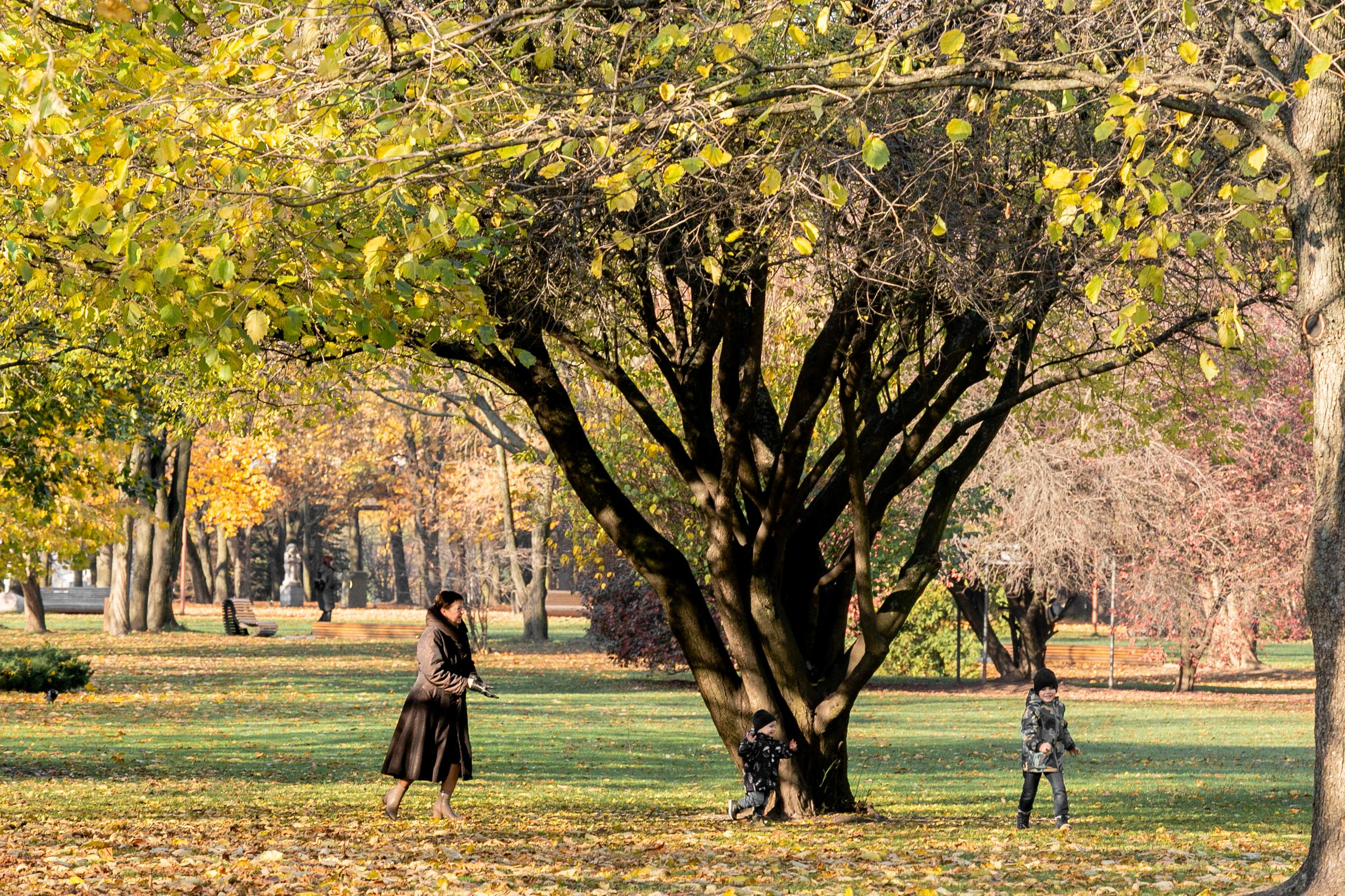 Пейзажи и город