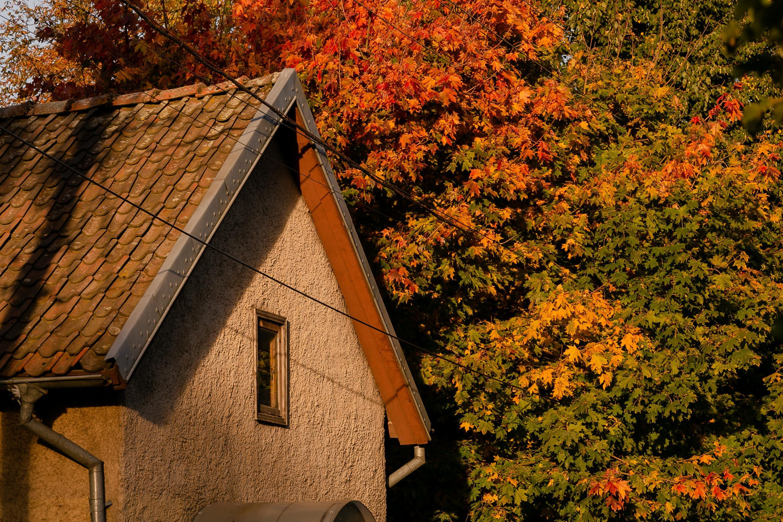 Пейзажи и город