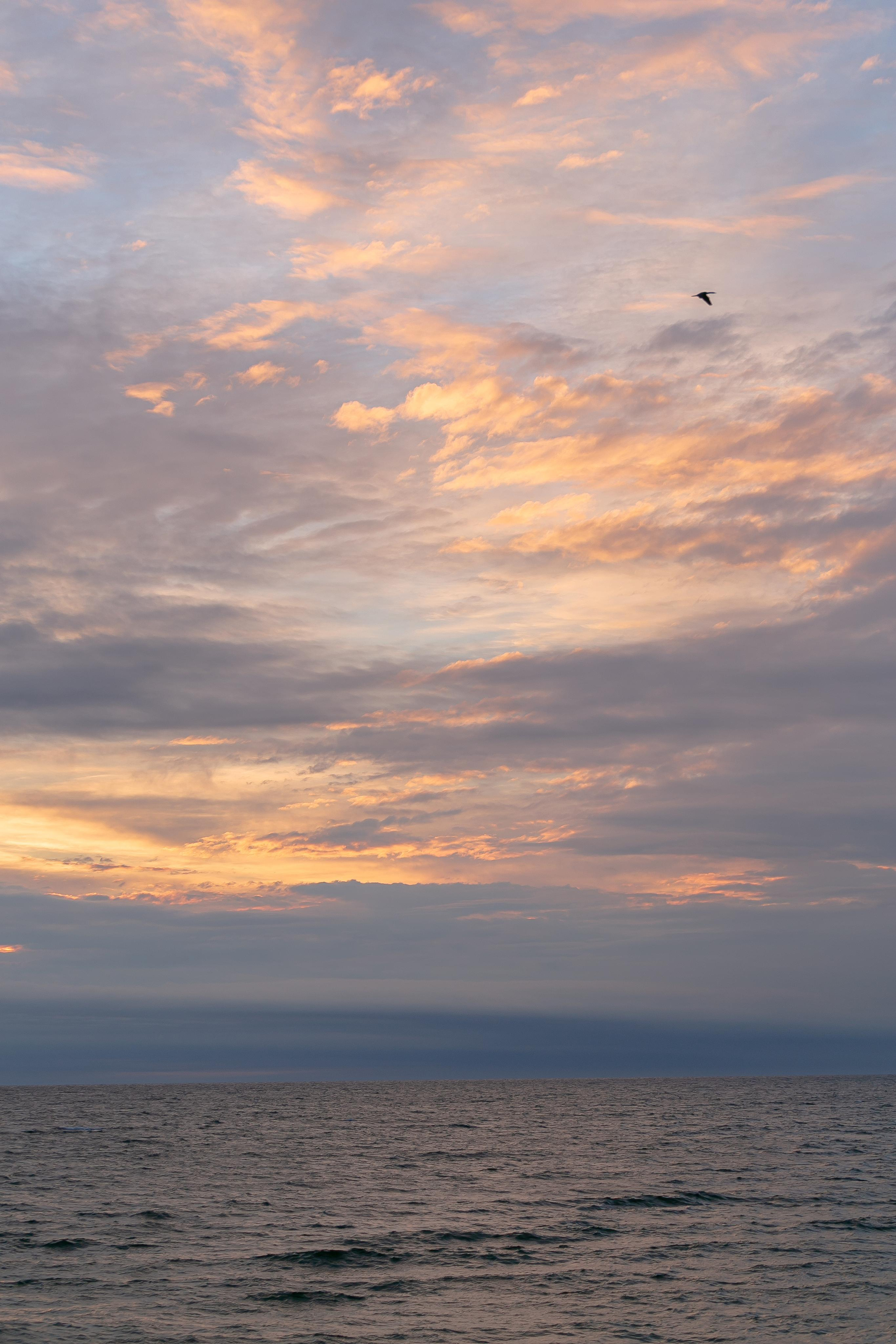 Пейзажи и город