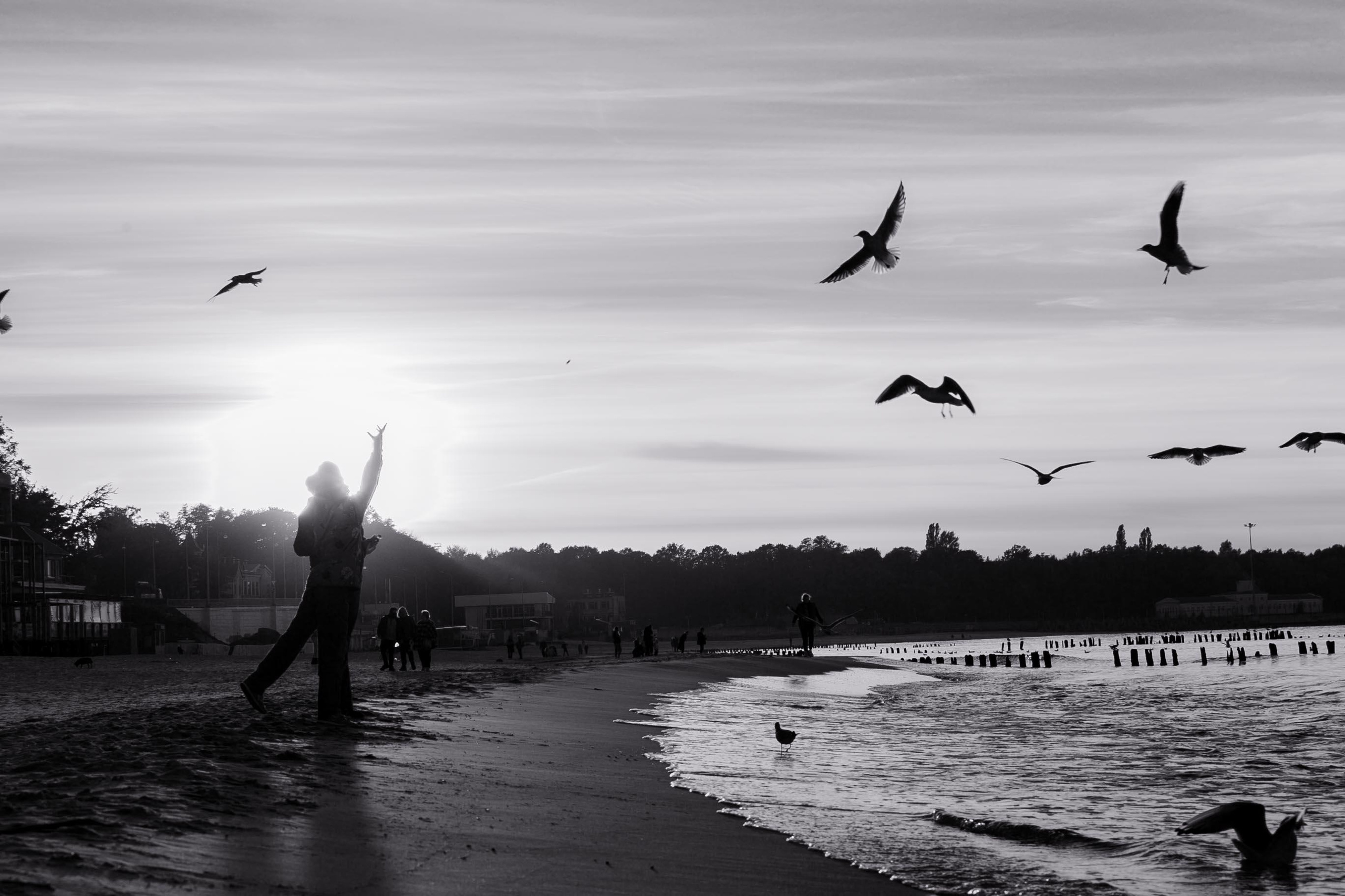 Пейзажи и город