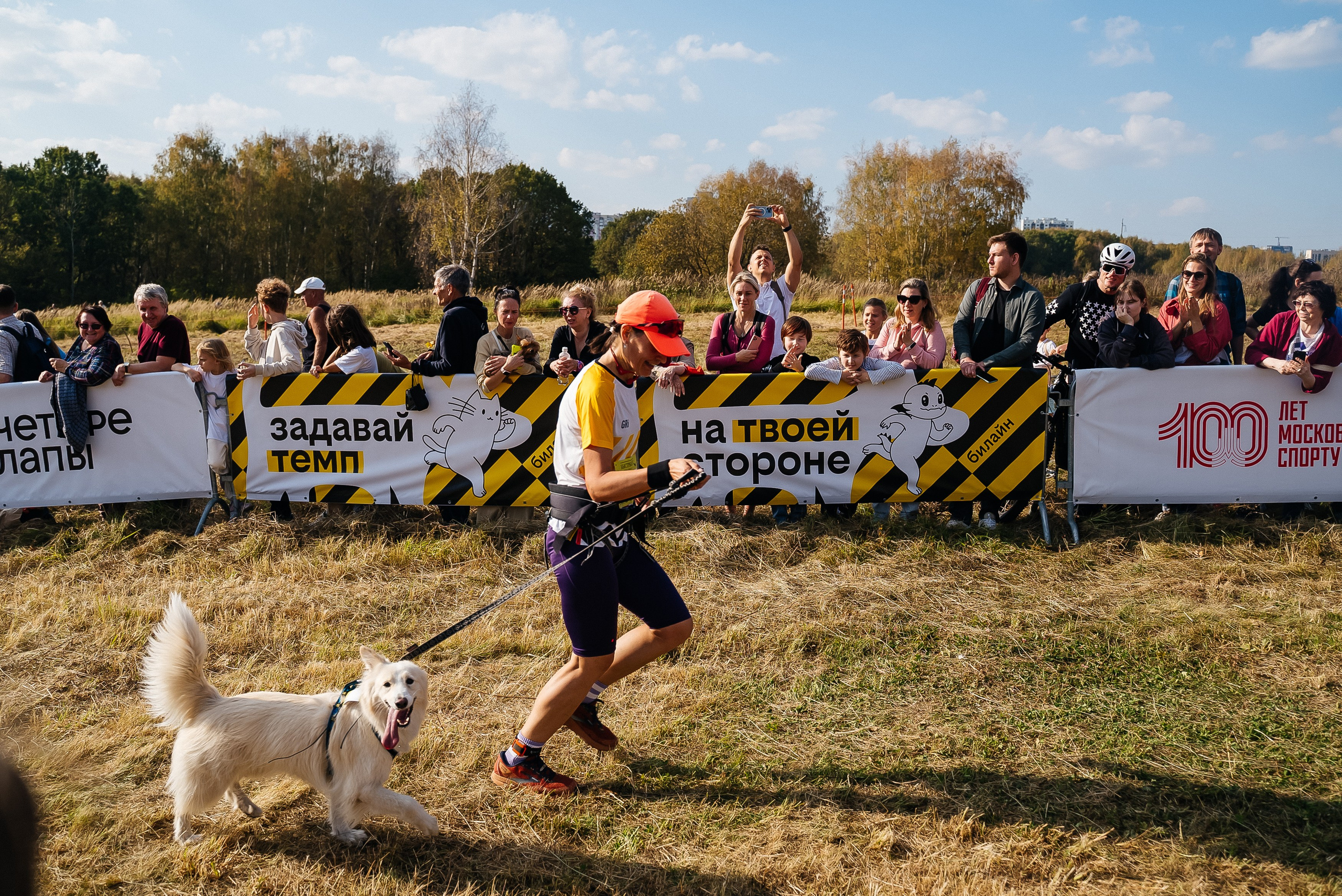 Билайн. Павел Краснов — Свадебный и репортажный фотограф в Москве