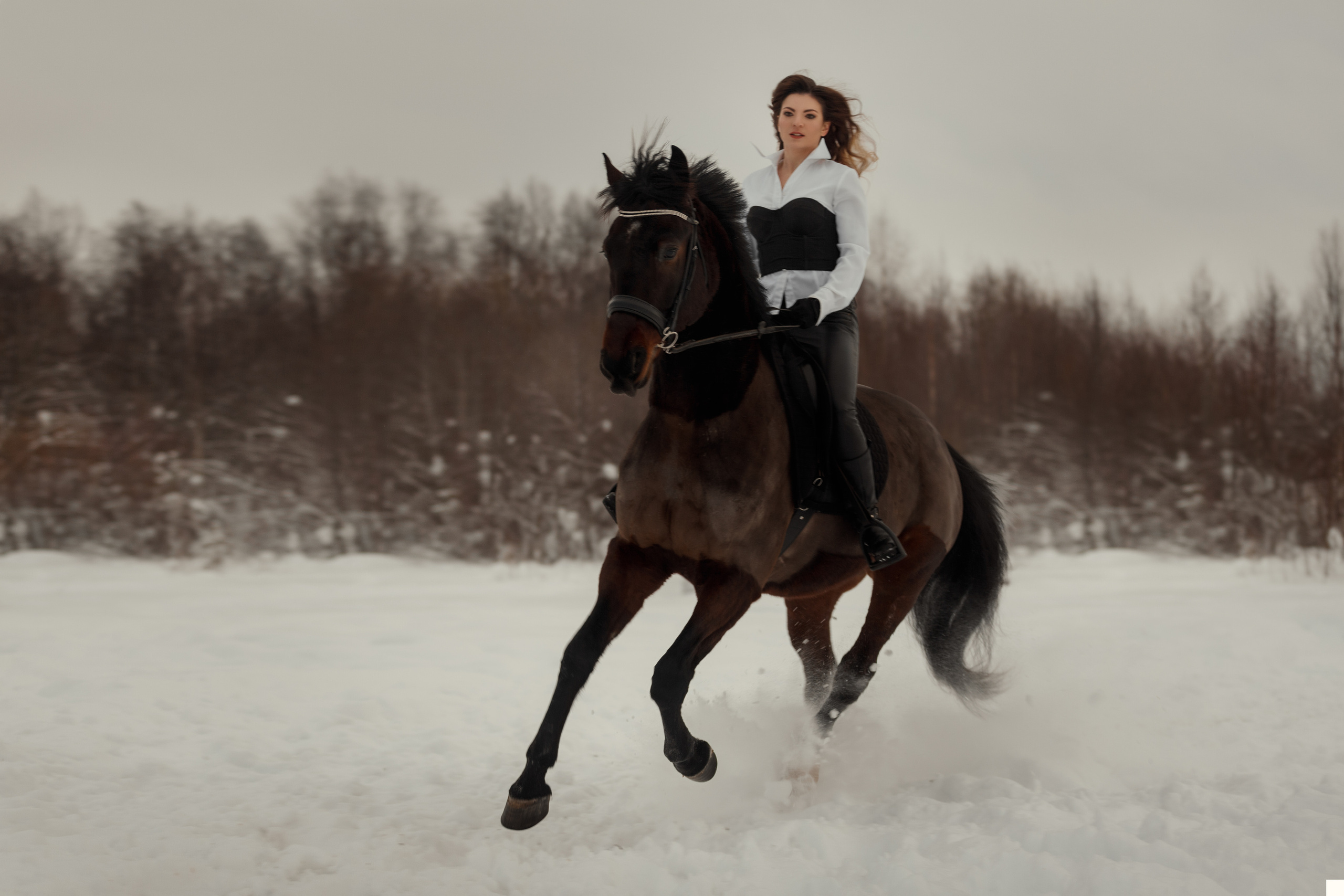 Ира, Аннабель и хаски, Реванш и Дарик. Фотограф в Архангельске Артемьева Катерина