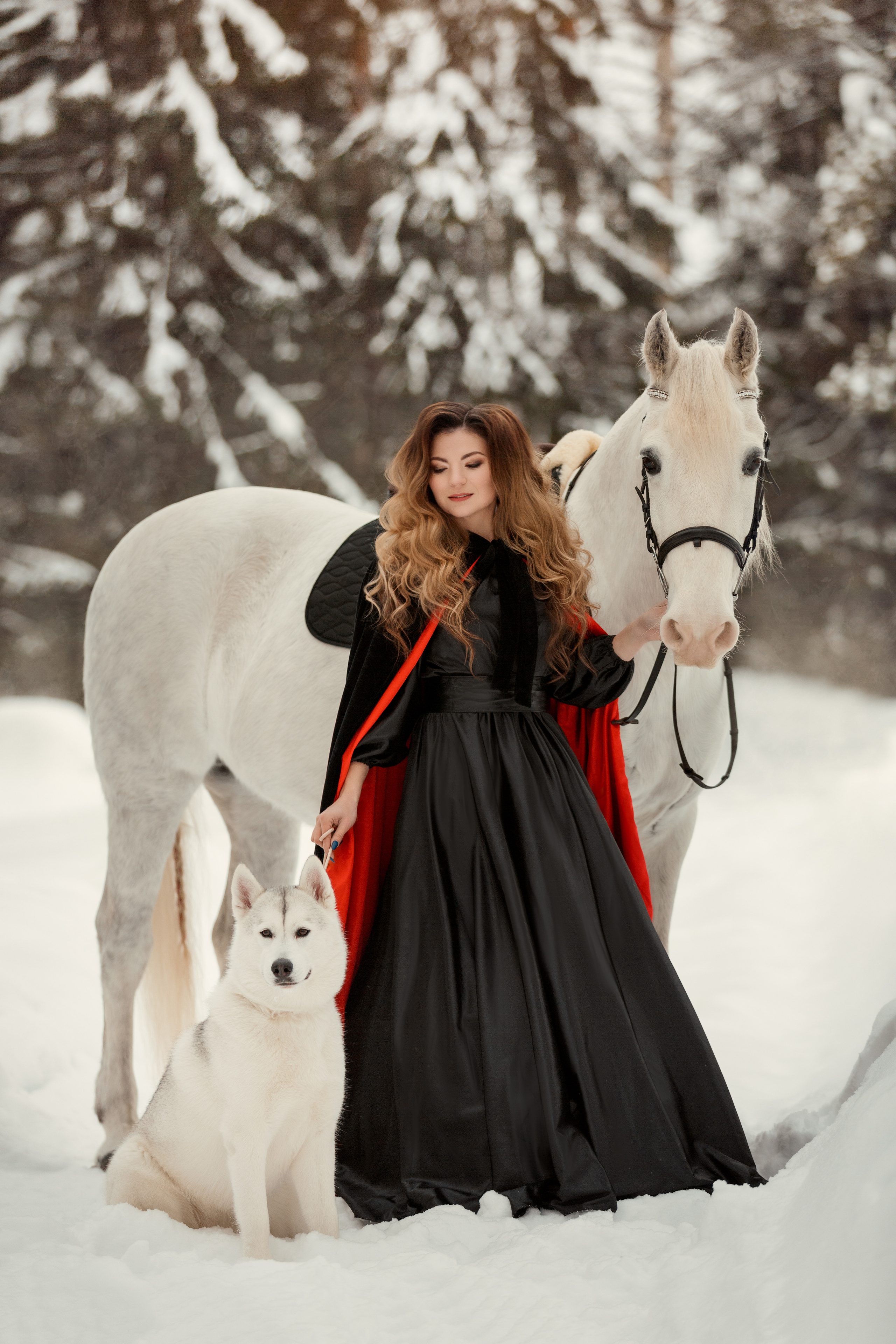 Ира, Аннабель и хаски, Реванш и Дарик. Фотограф в Архангельске Артемьева Катерина