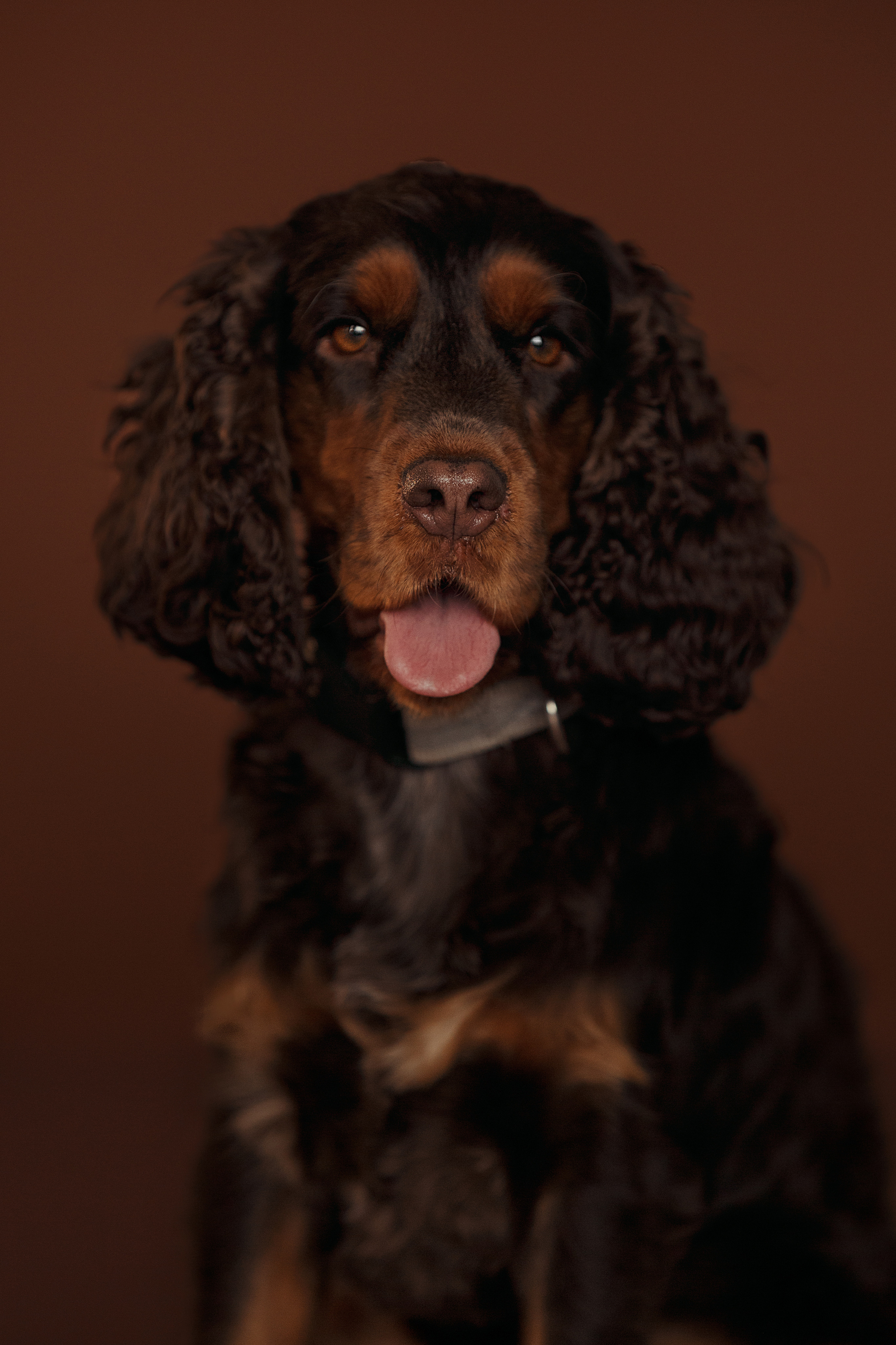 Юля, Баффи и Гуффи. Фотограф в Архангельске Артемьева Катерина