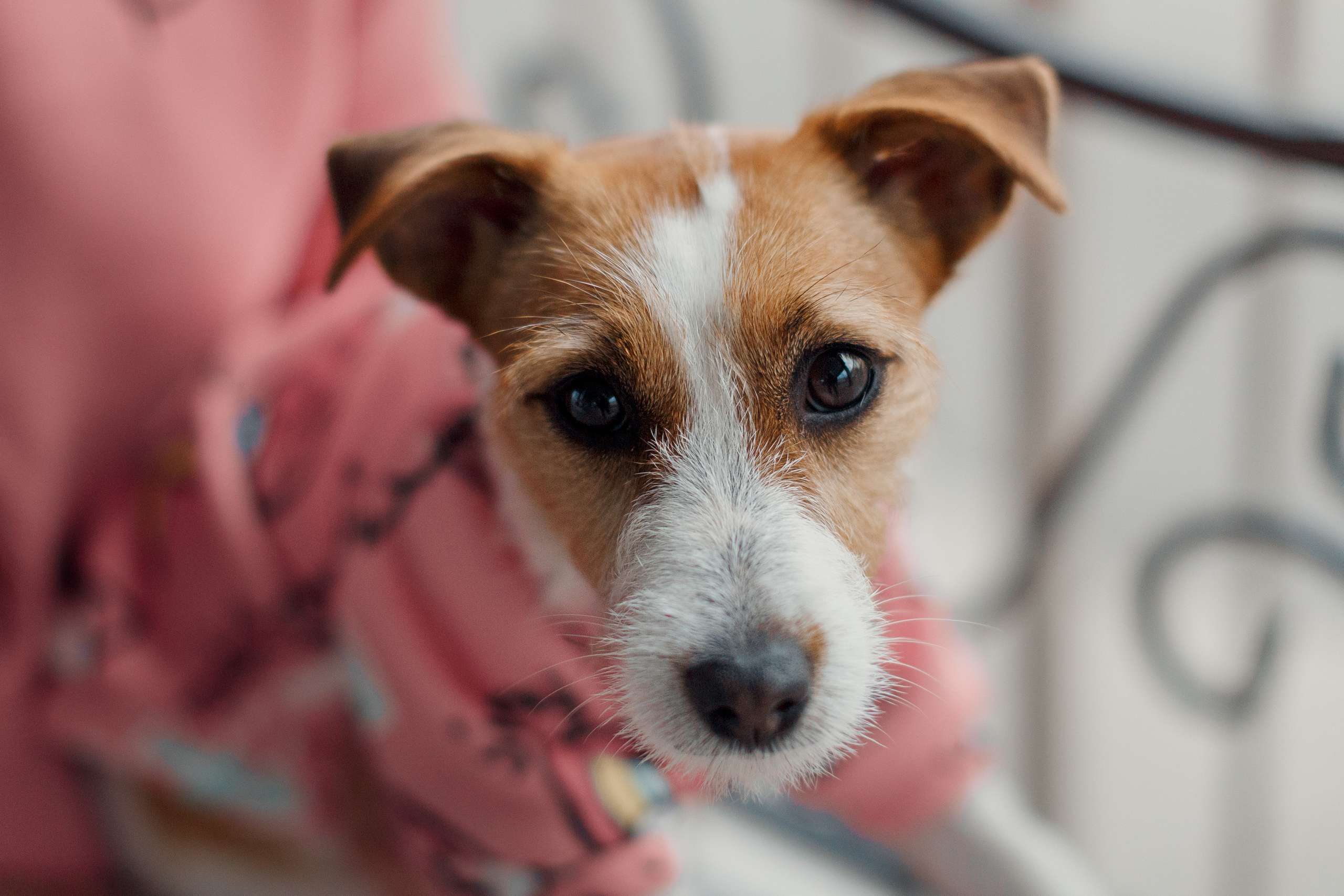 Анна и Зара. Фотограф в Архангельске Артемьева Катерина