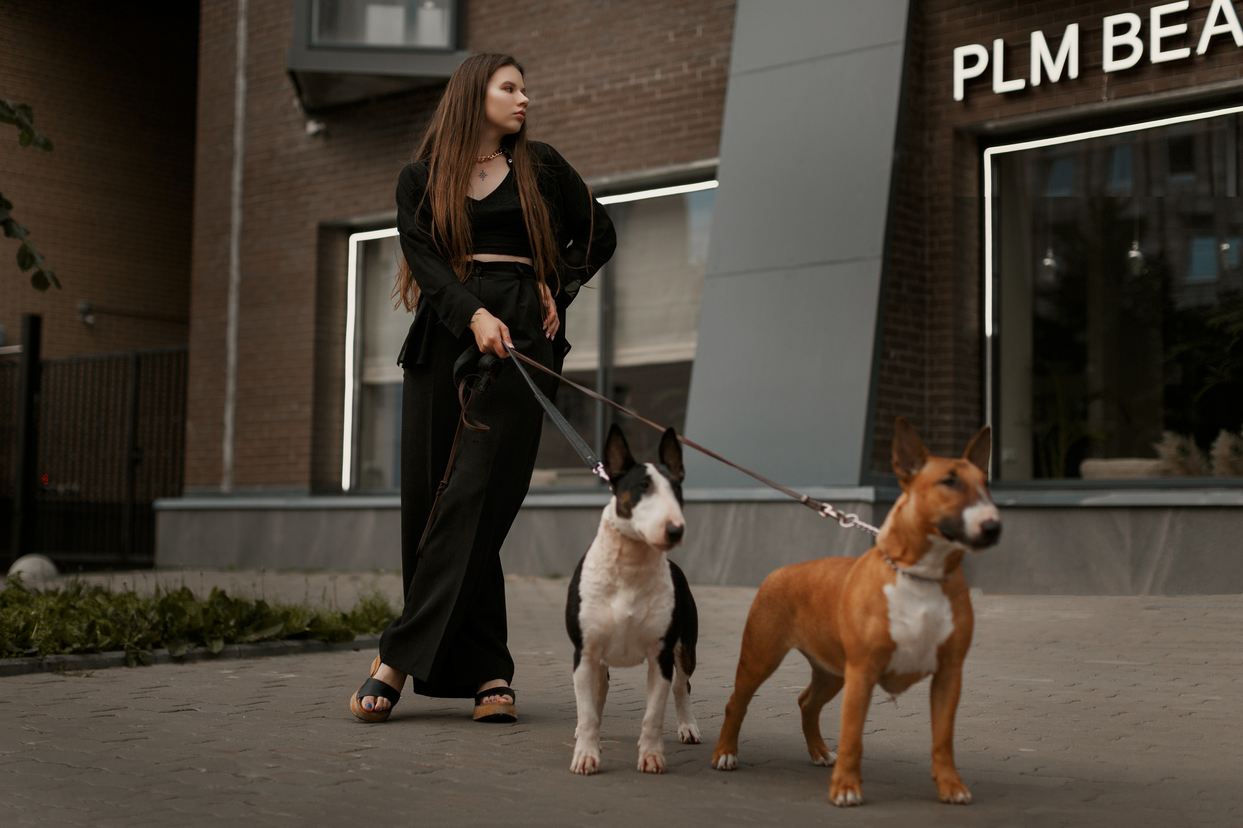 Дана, Асэми и Акира. Фотограф в Архангельске Артемьева Катерина